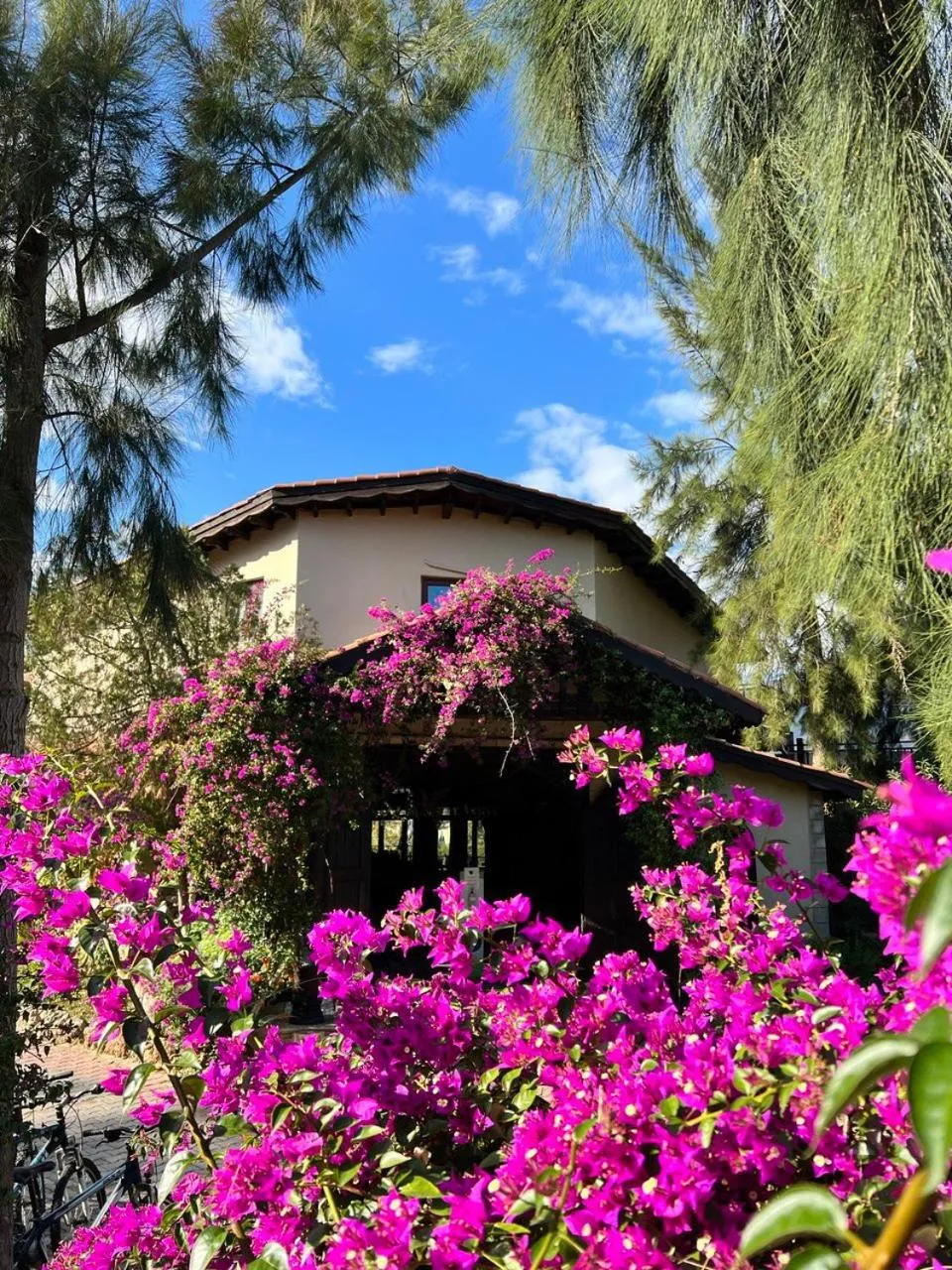 Lobby or reception in Hotel Berke Ranch&Nature
