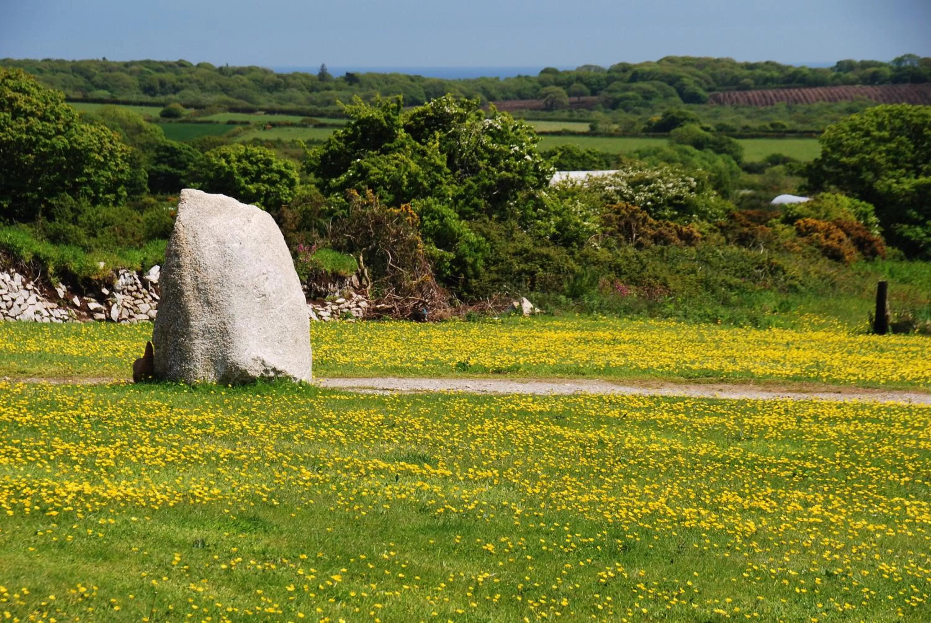 Facade/entrance in Fig Tree House