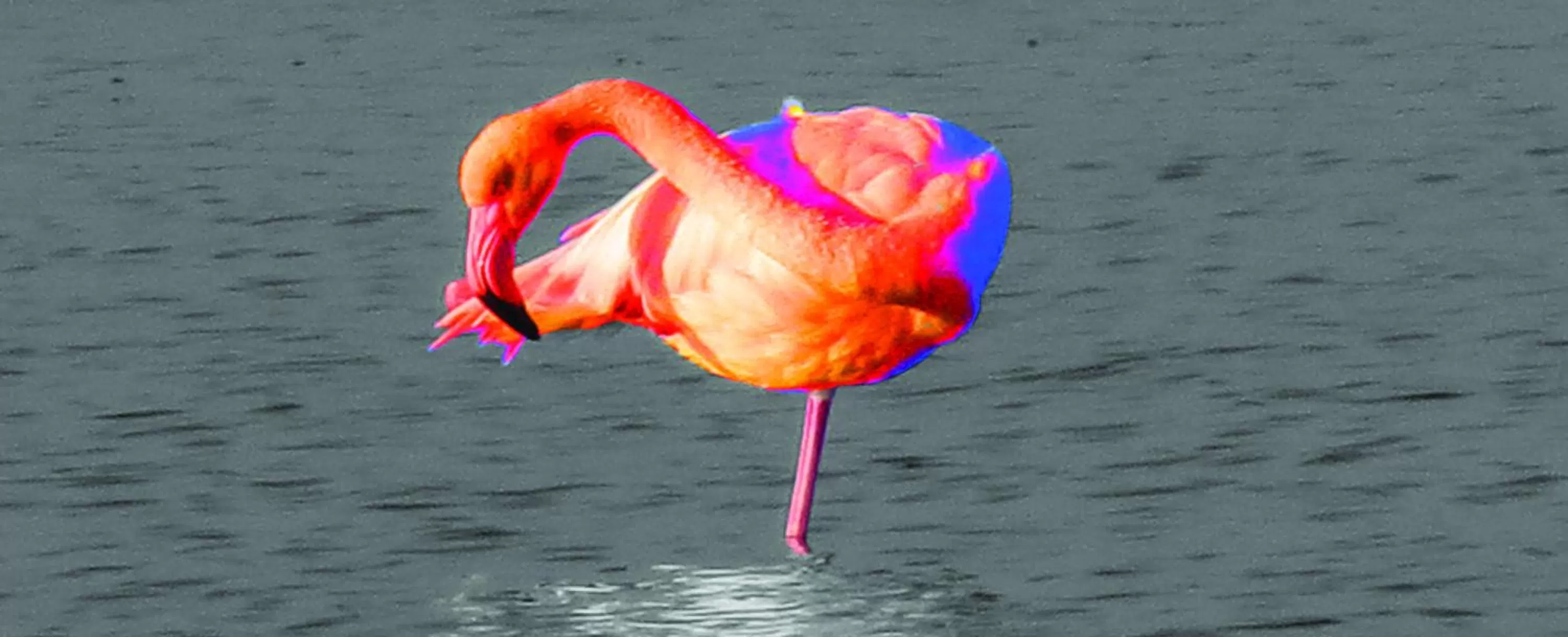 Bedroom in Best Western Hotelio Montpellier Sud