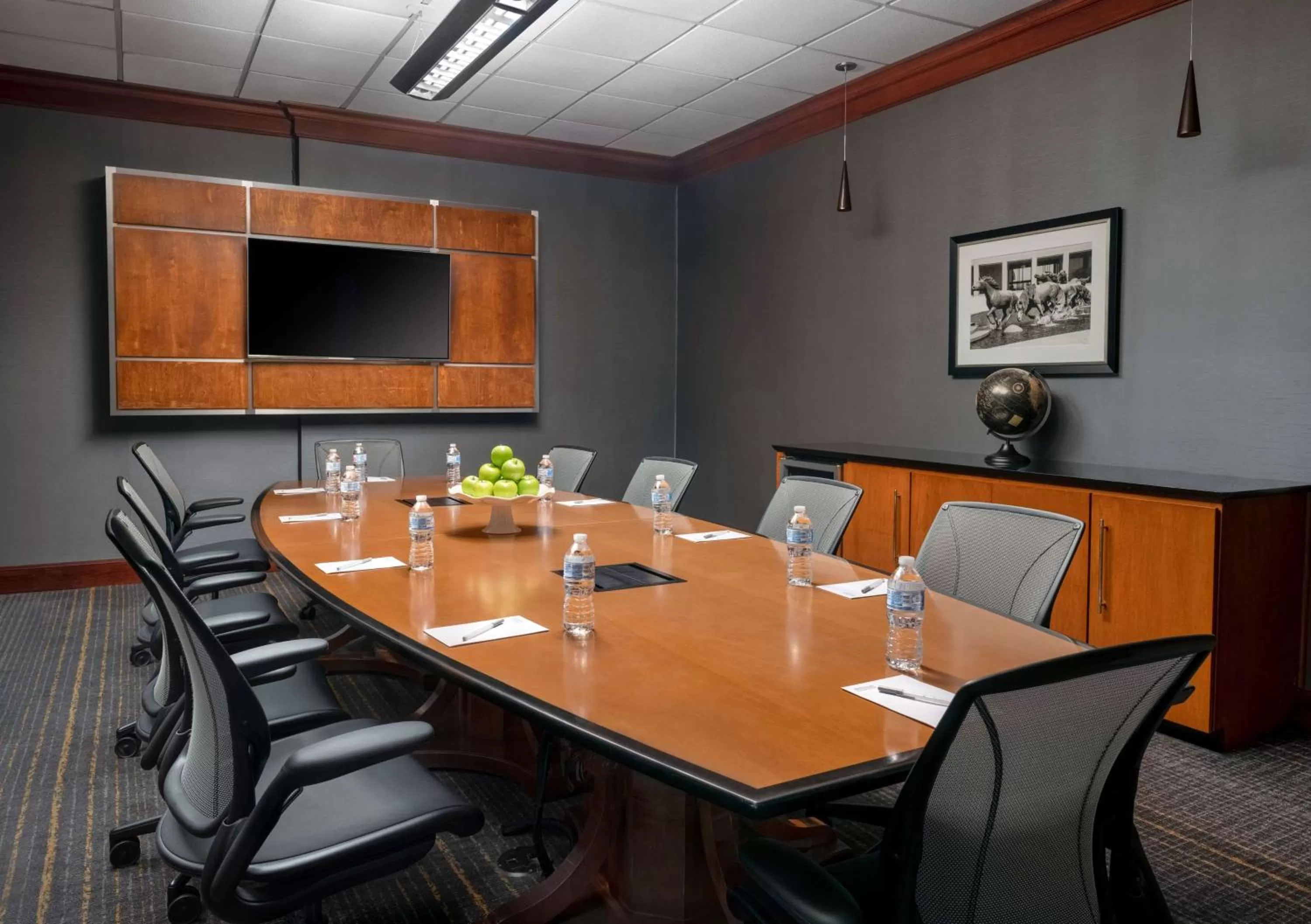 Meeting/conference room in Hilton Garden Inn Las Colinas