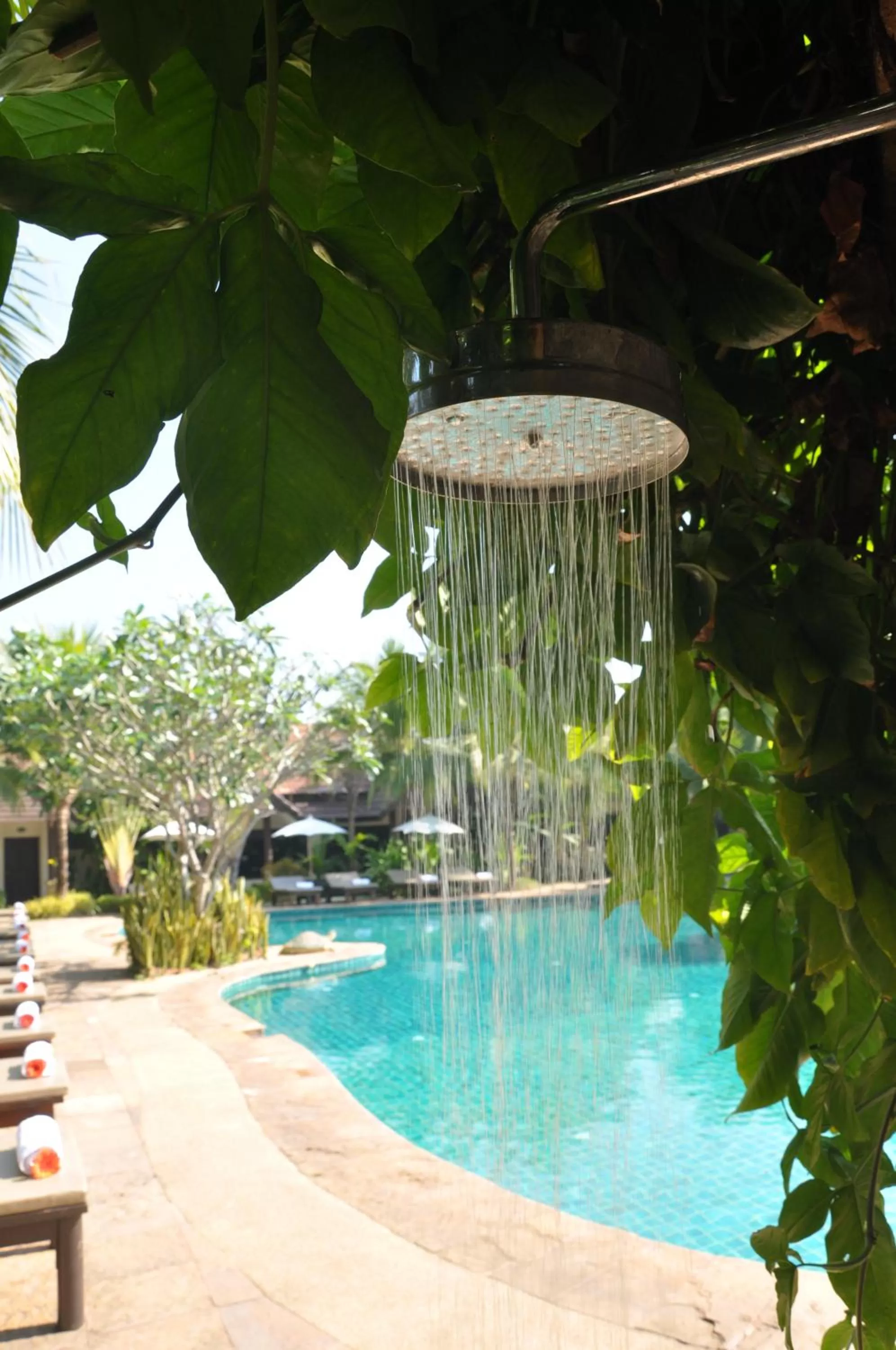 Swimming pool in Laluna Hotel And Resort, Chiang Rai
