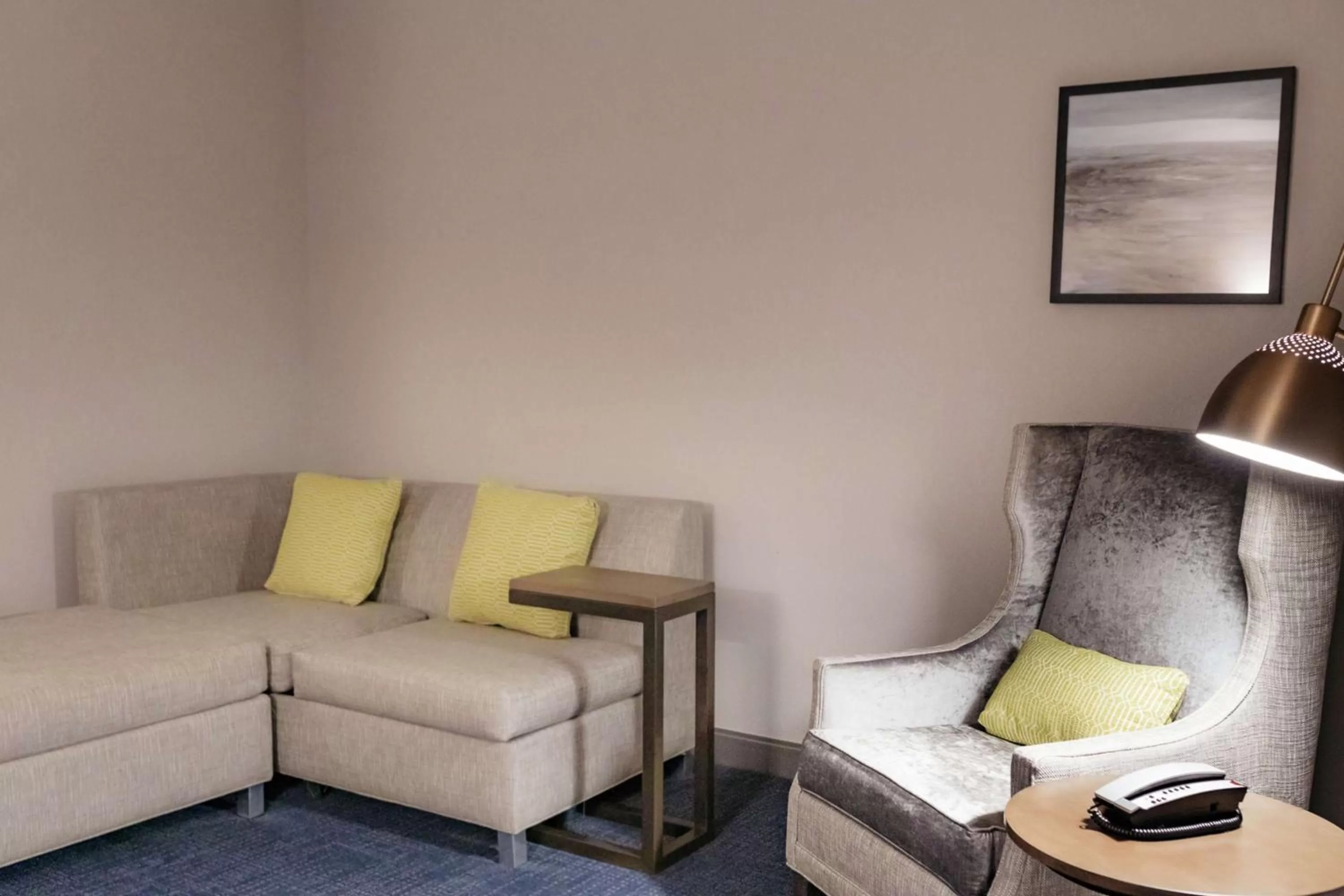 Living room in Hilton Garden Inn Madison Sun Prairie