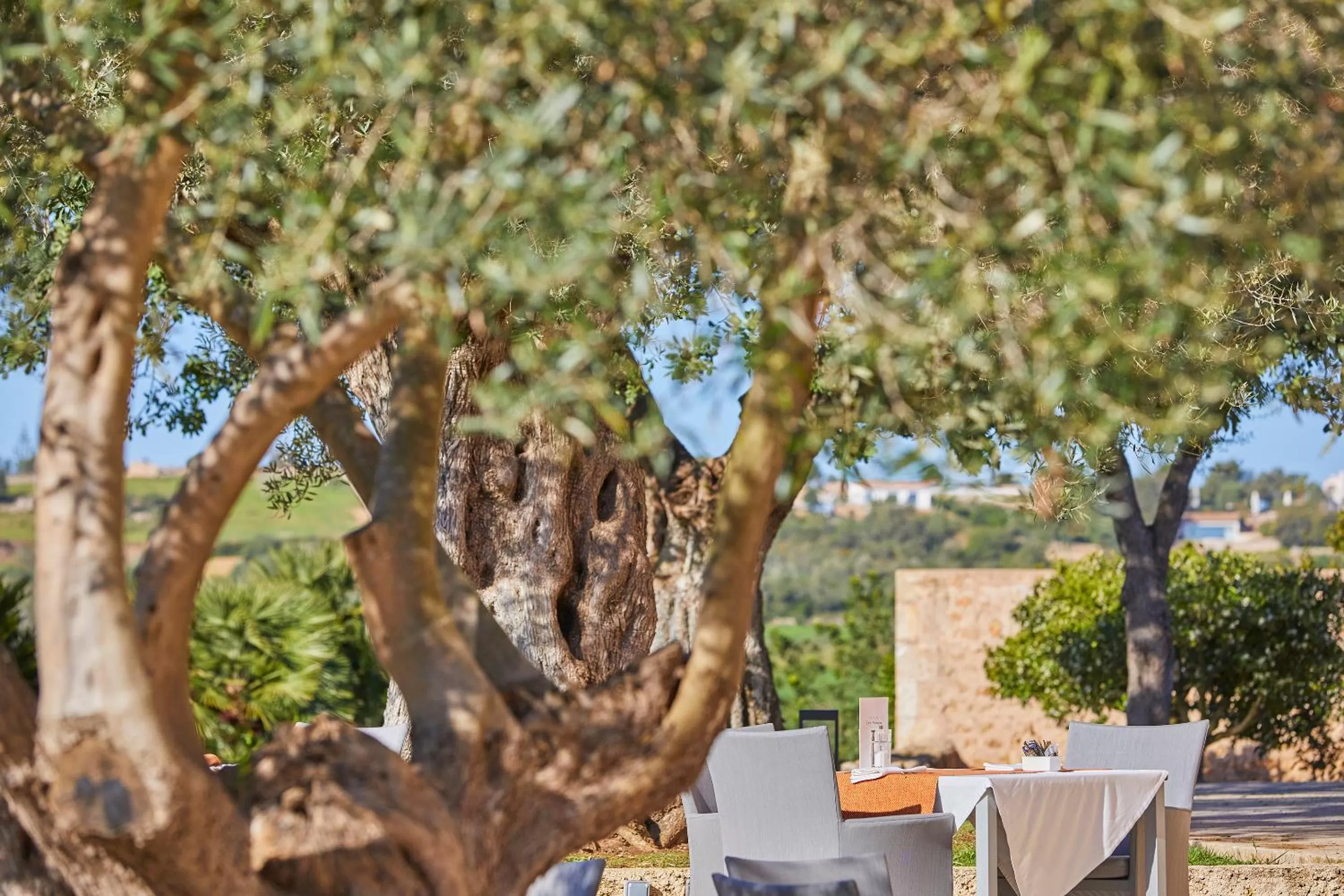 Restaurant/places to eat in Son Penya Adults Only Petit Hotel & Spa