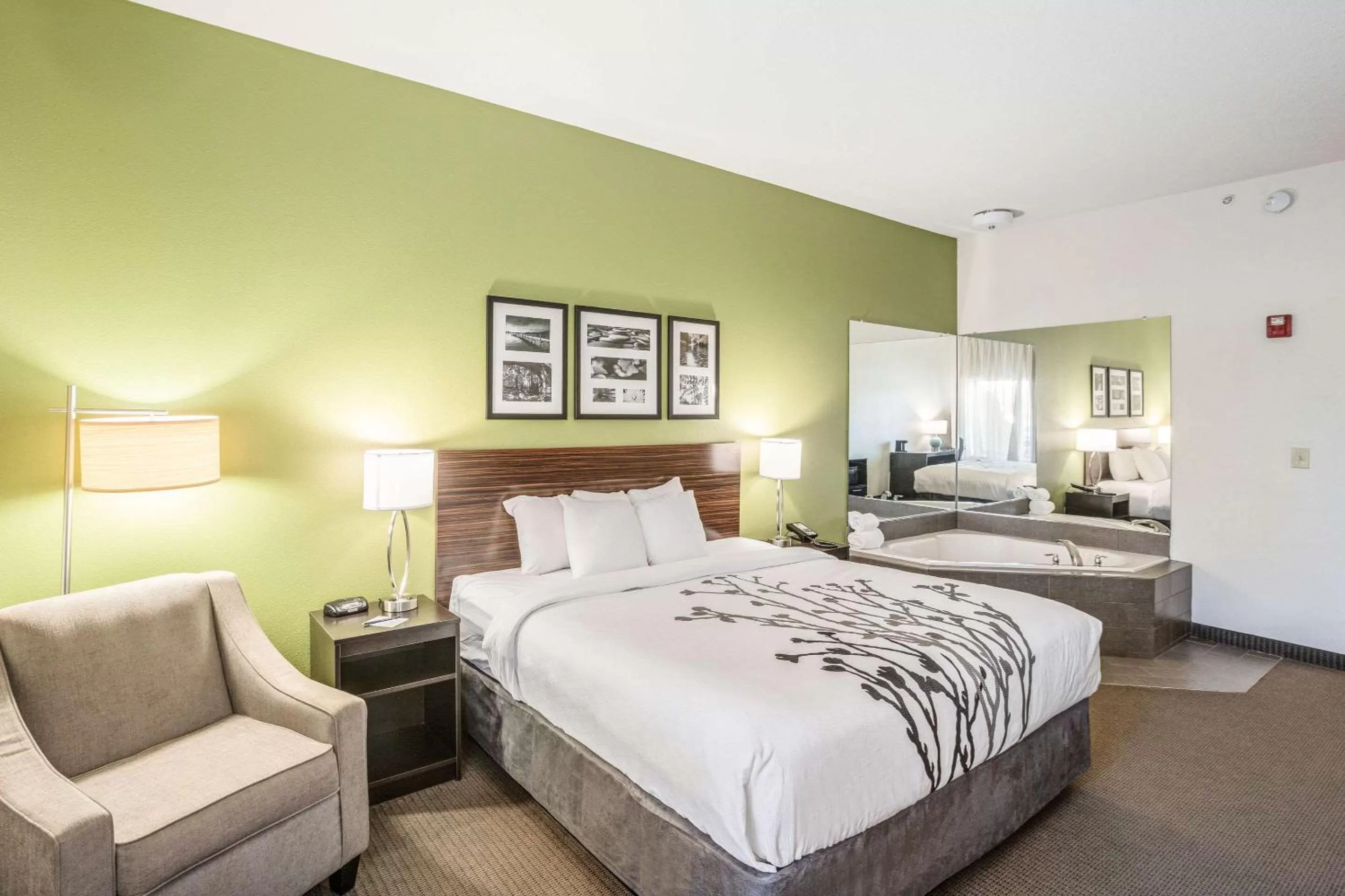 Photo of the whole room, Bed in Sleep Inn & Suites Hiram - Atlanta Northwest