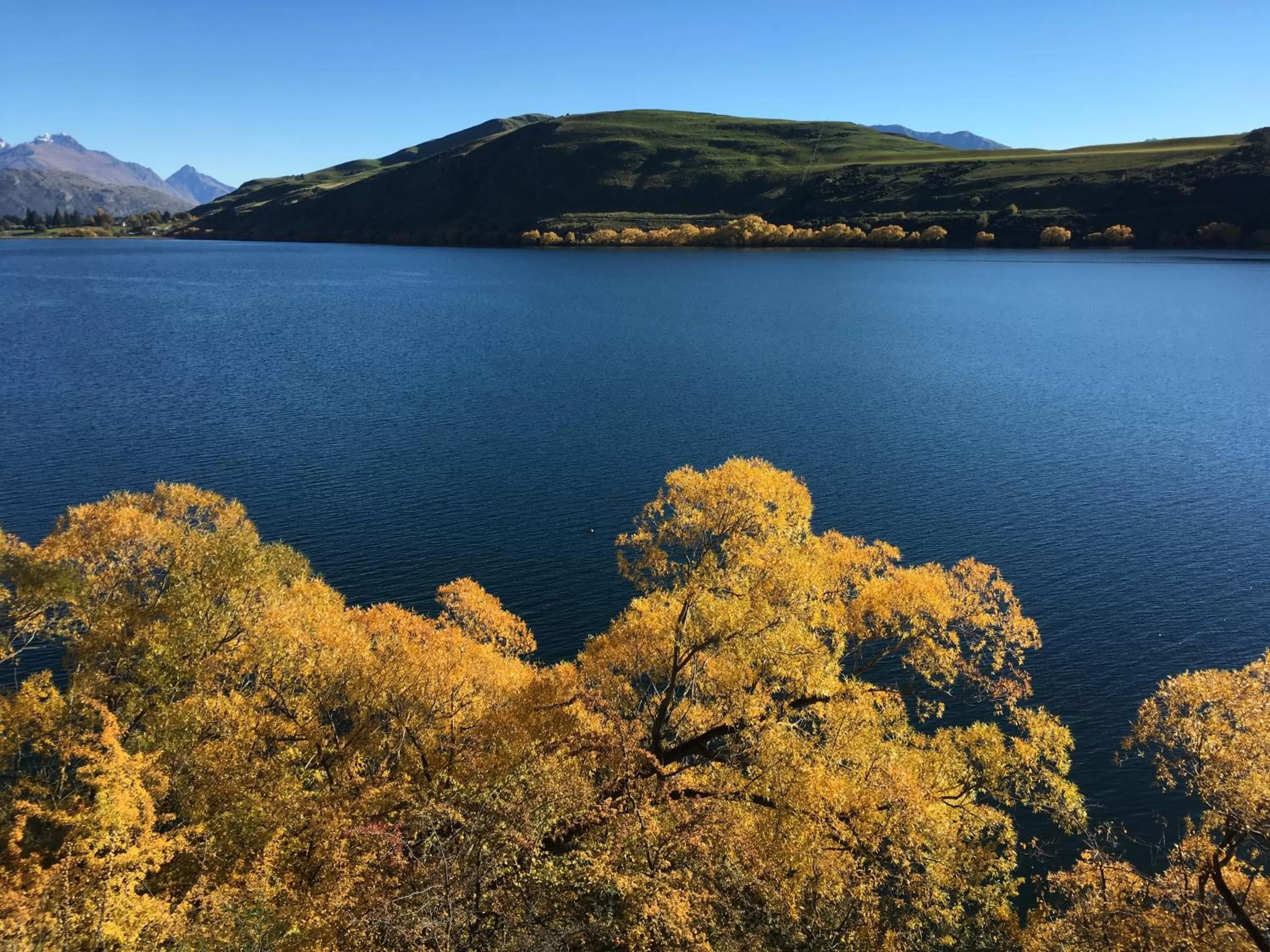 Settlers Cottage Motel