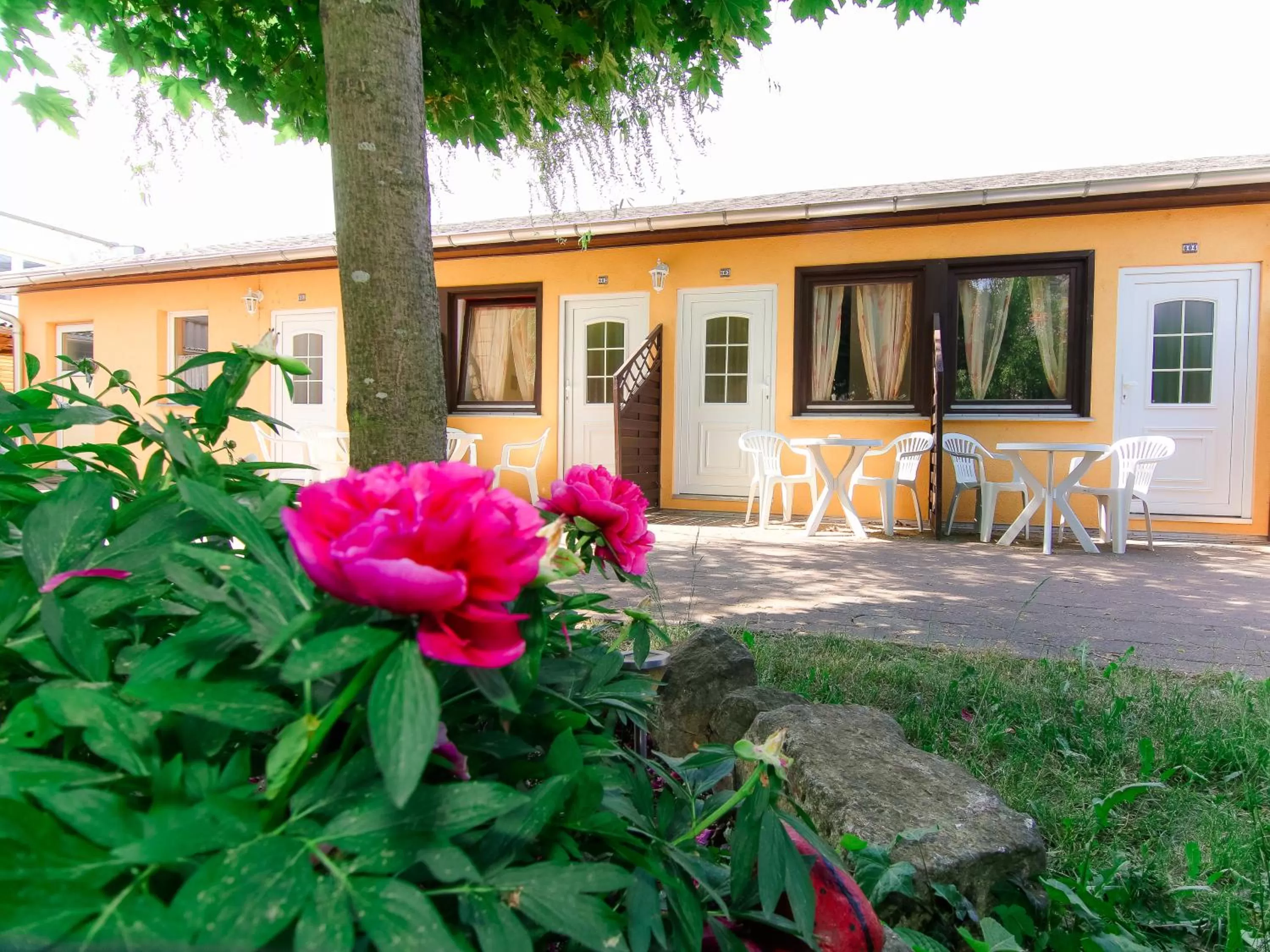 Garden in Hotel Reichskrone