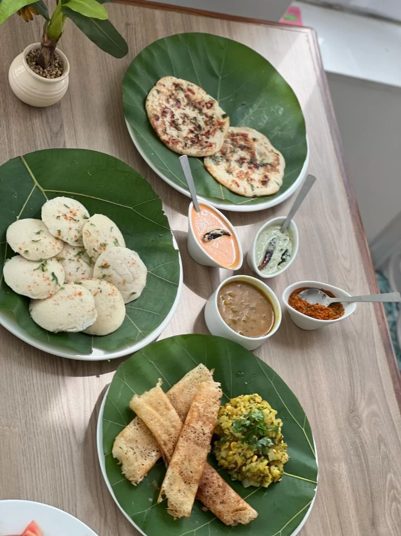 Food in Terrakotta Rishikesh