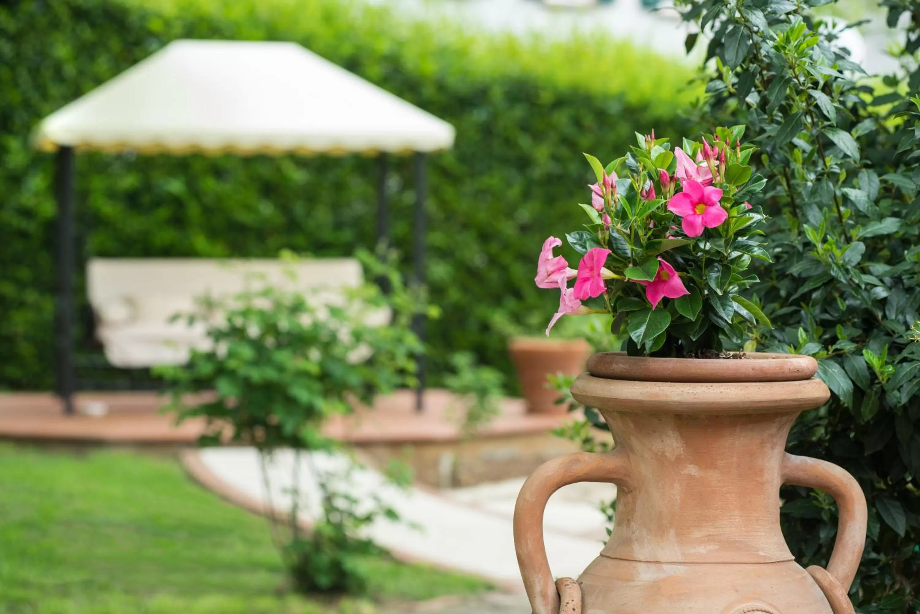 Garden in B&B La Valle