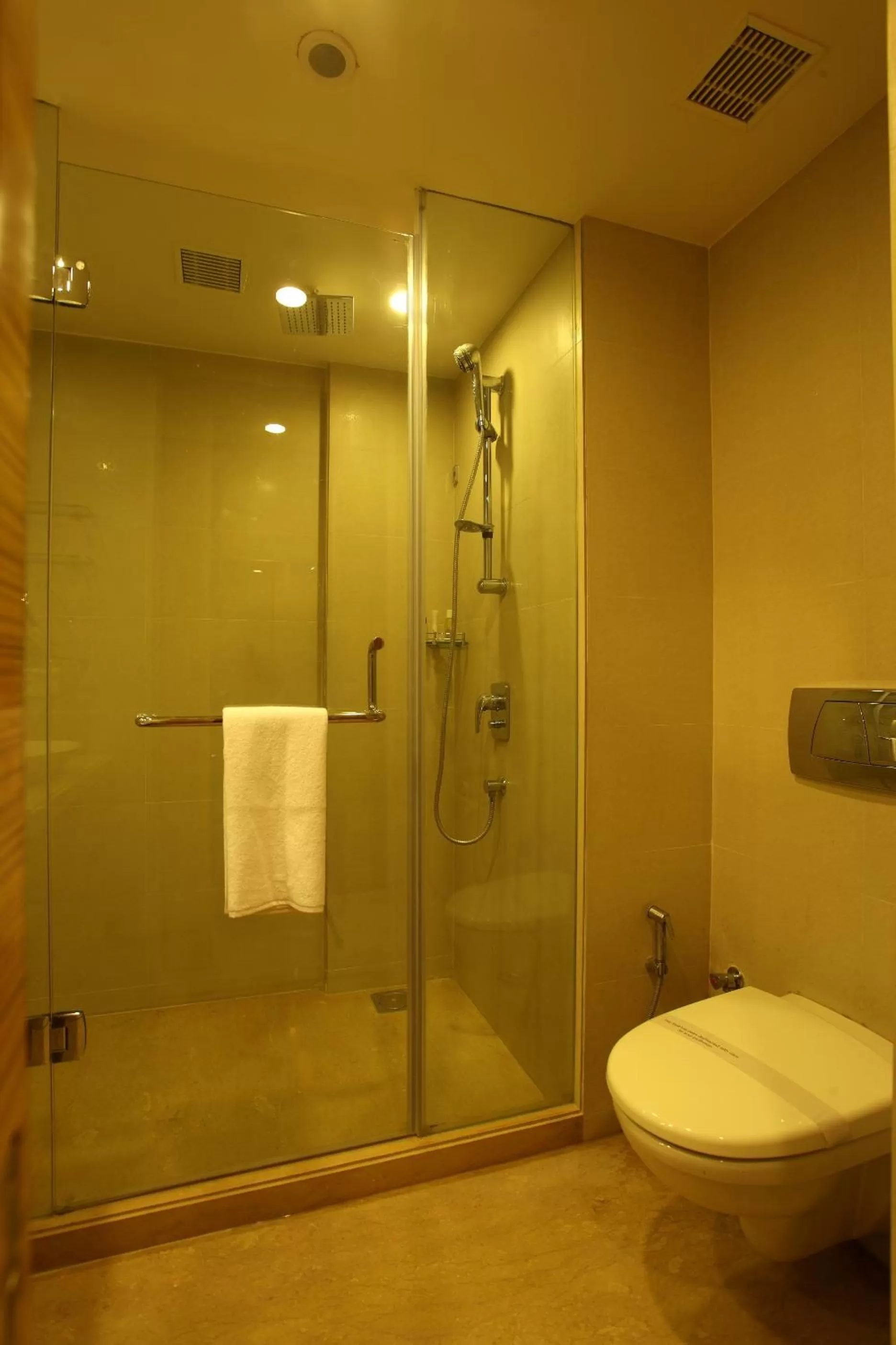 Shower in Comfort Inn Legacy
