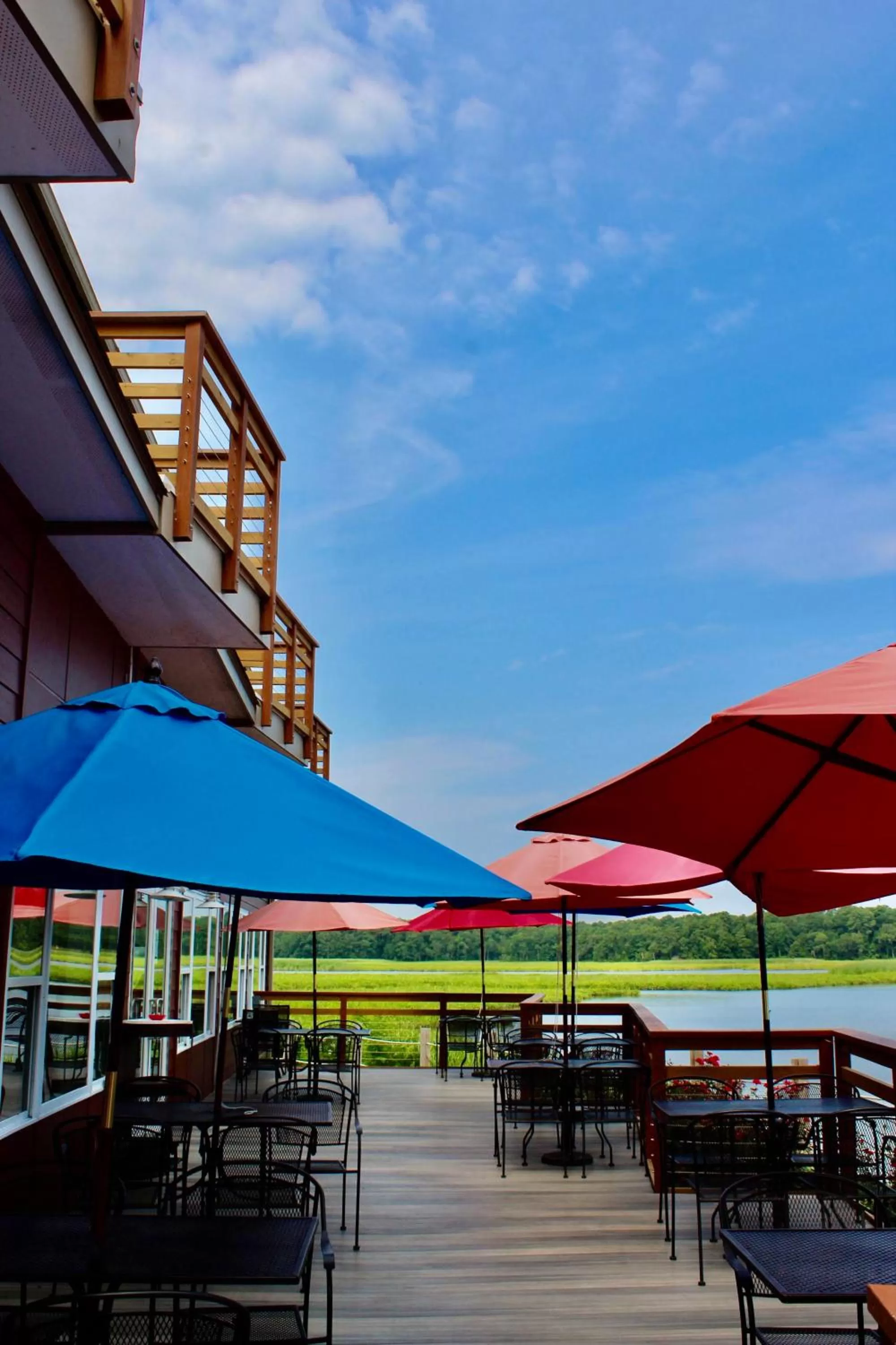 Restaurant/places to eat in Surry Seafood Company