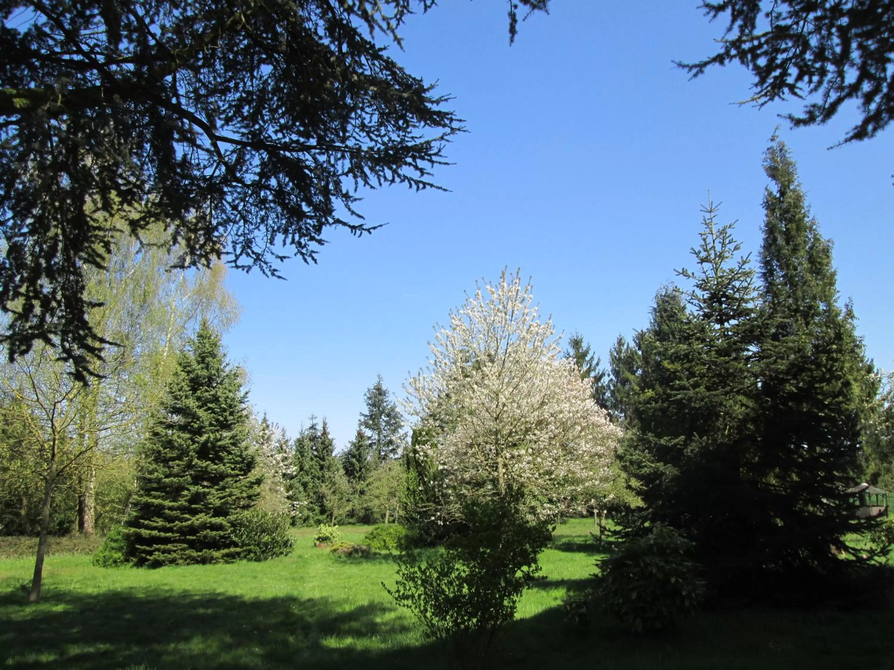 Garden in World House Wetten