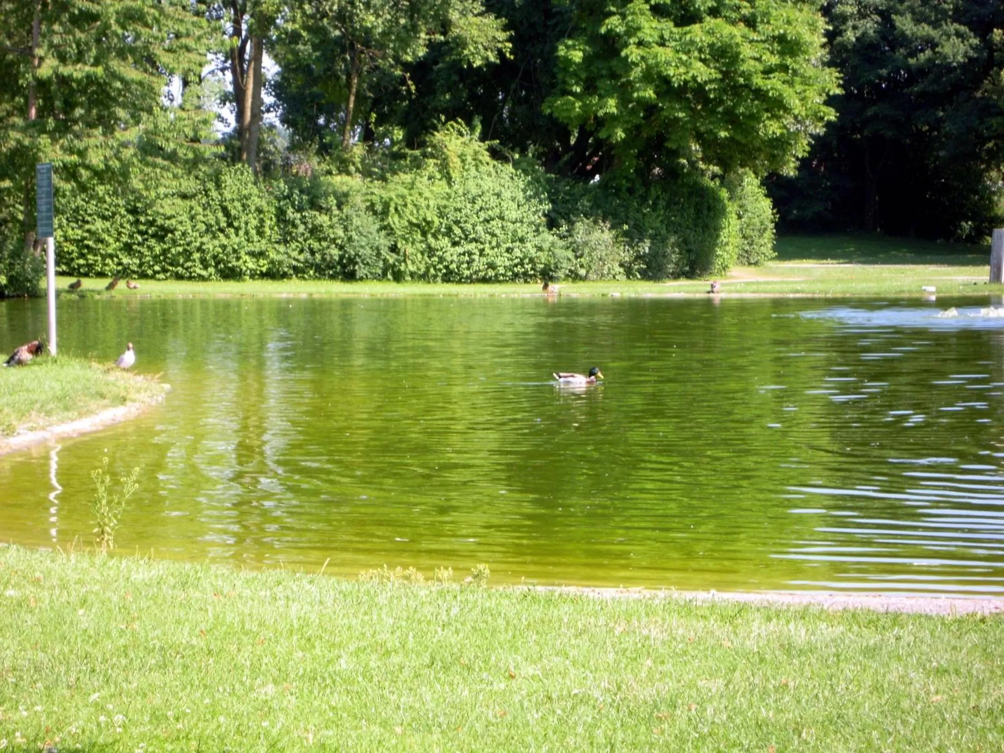 View (from property/room) in Kurhotel Anders