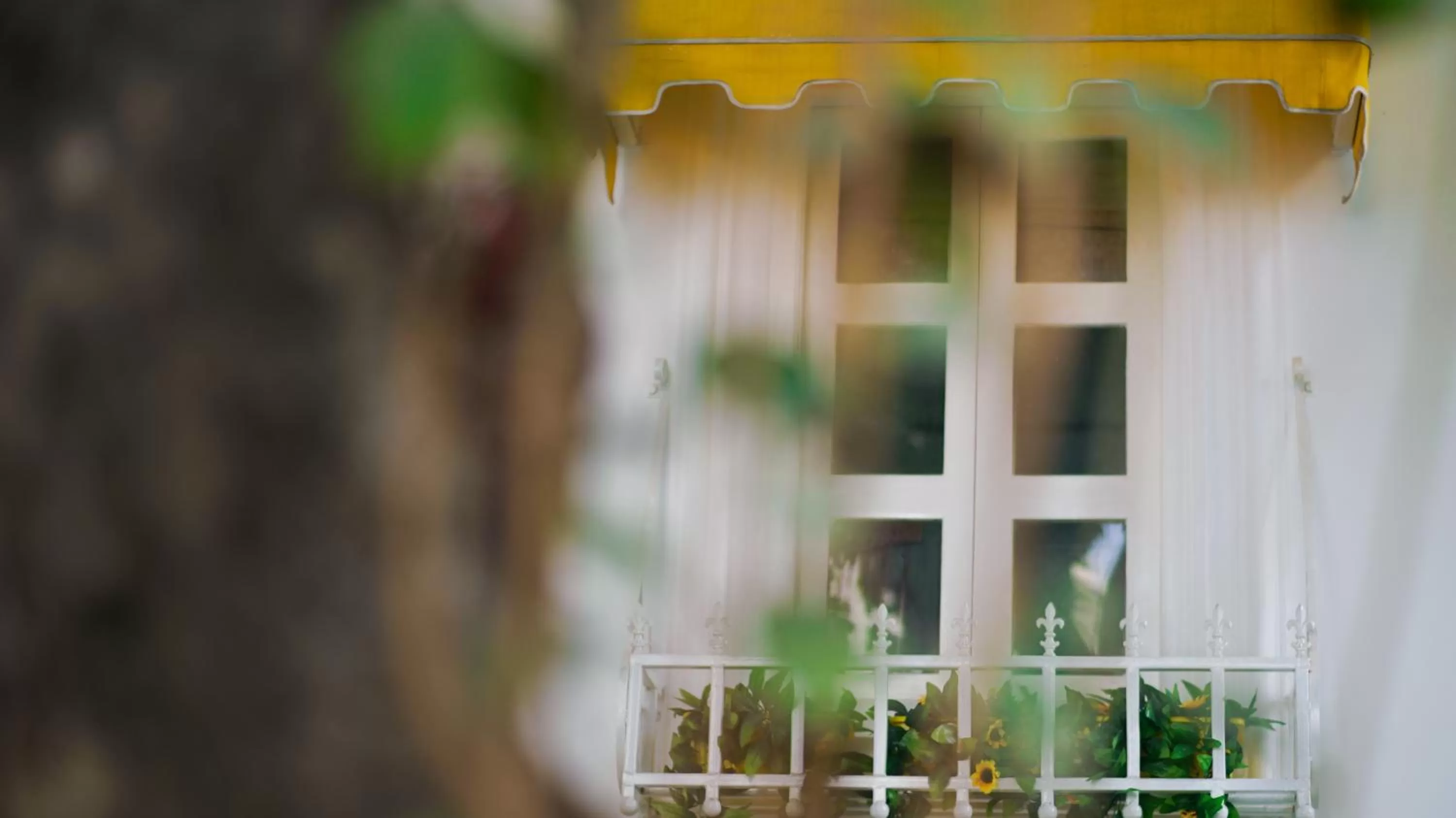 Day in Stay Banaras - A Boutique Hotel