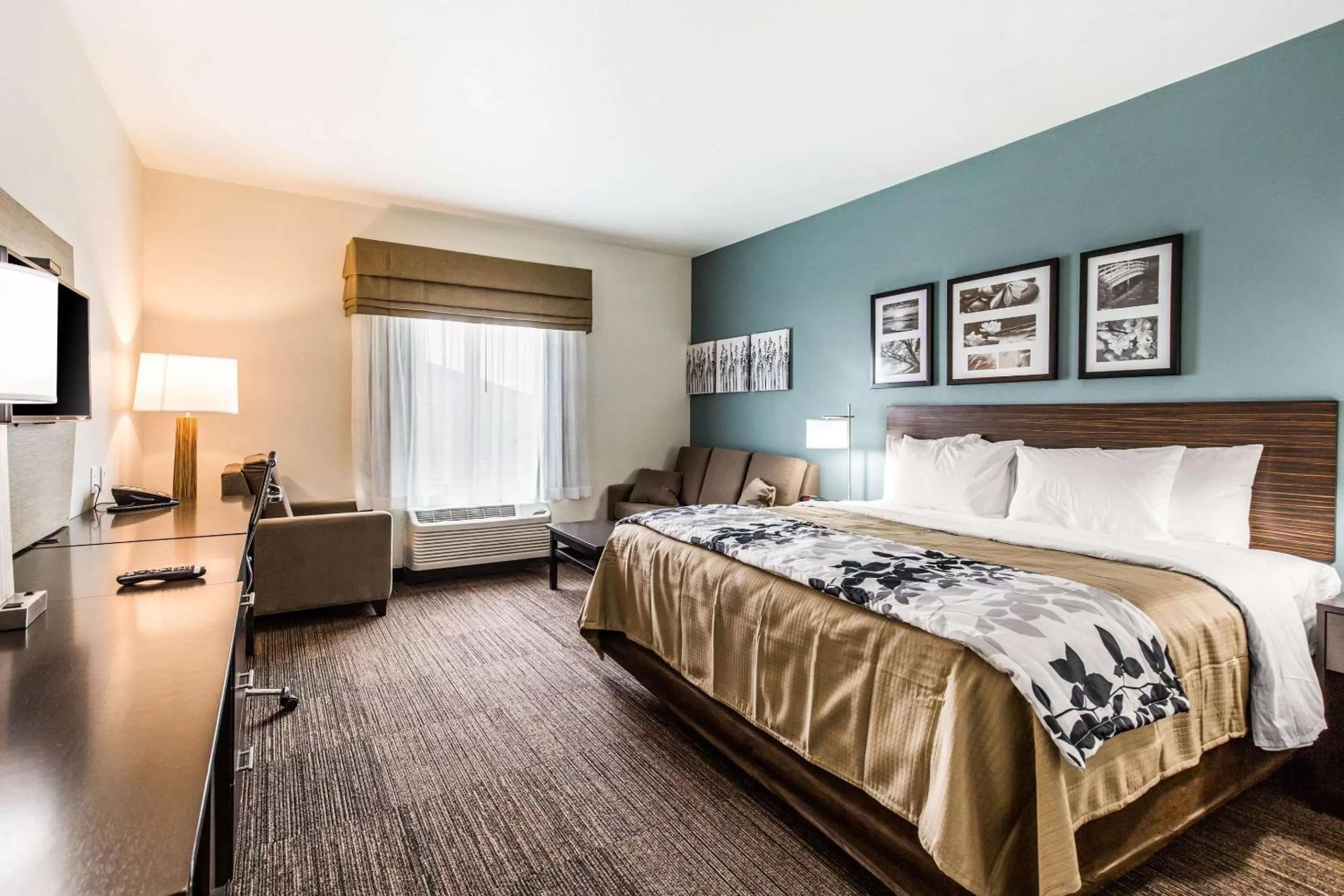 Photo of the whole room, Bed in Sleep Inn & Suites Bryan - College Station