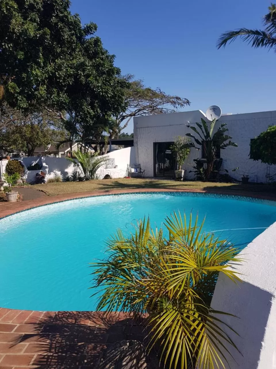 Swimming Pool in Umuzi Guest House
