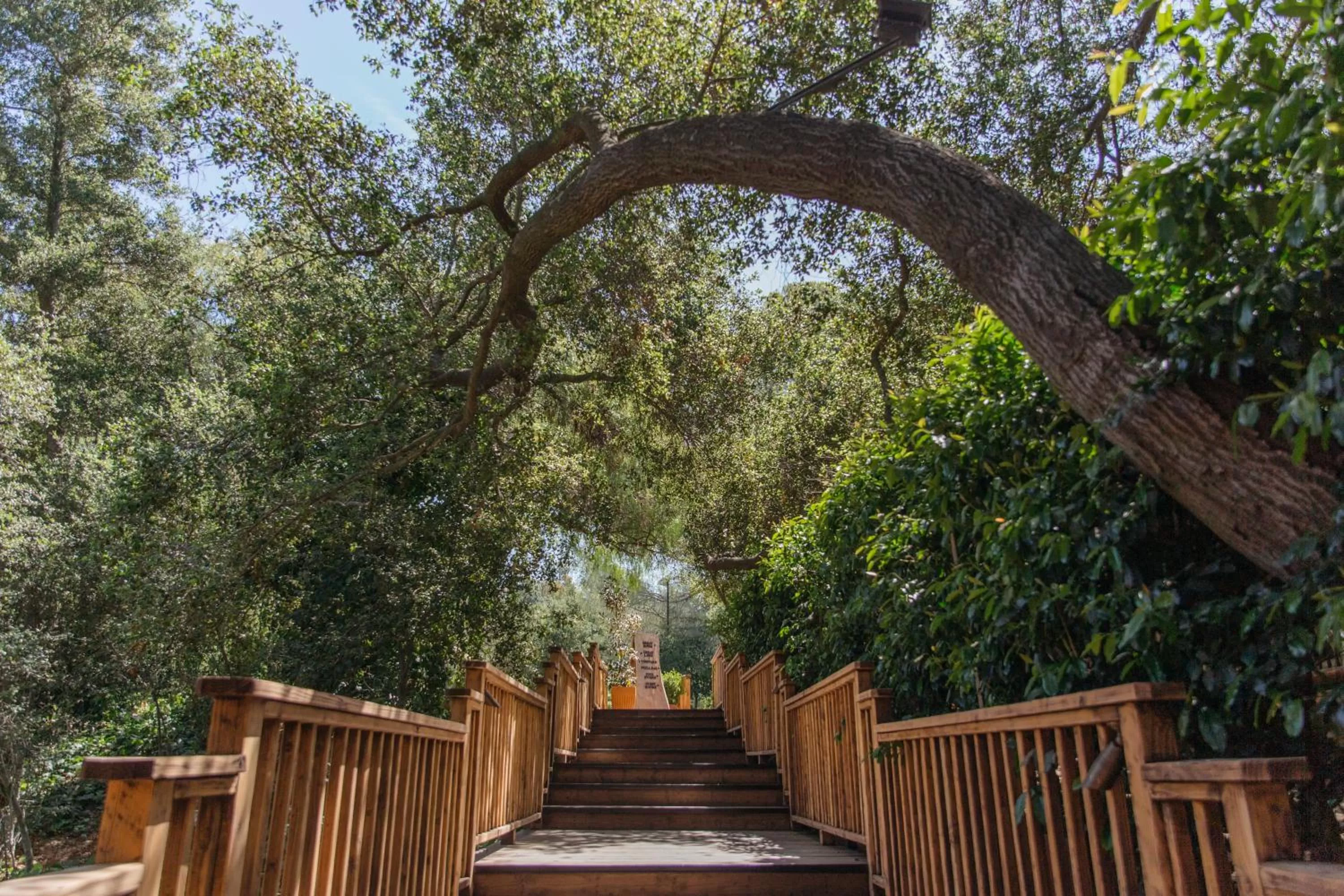 Day in Calamigos Guest Ranch and Beach Club