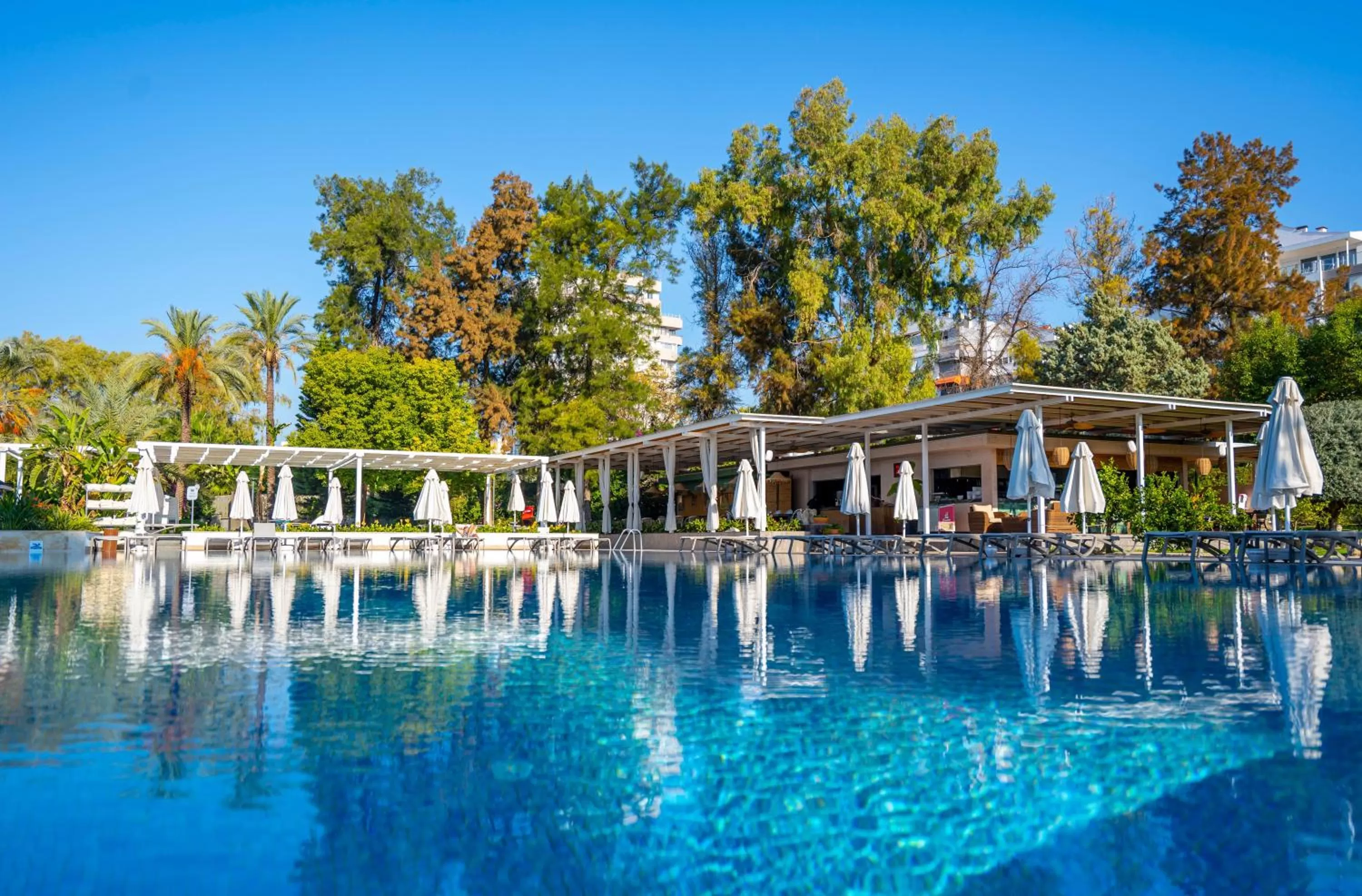 Swimming pool in Akra Antalya