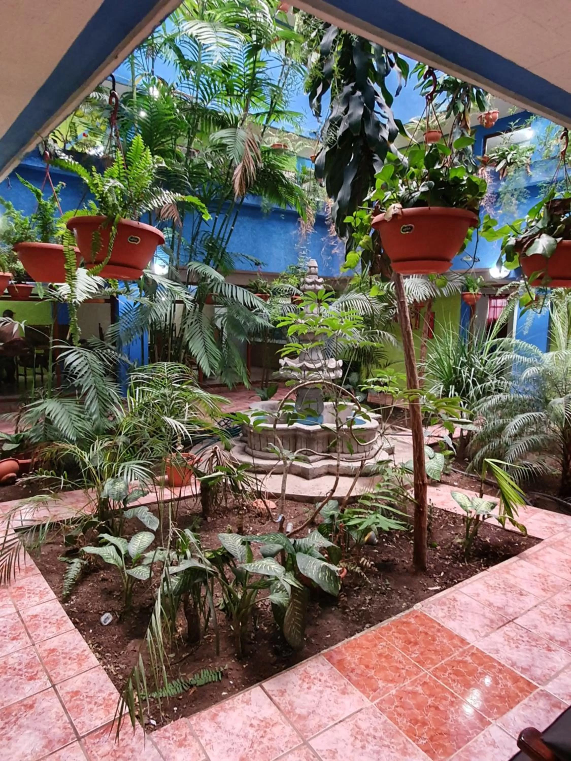 hotel kasa kamelot 2