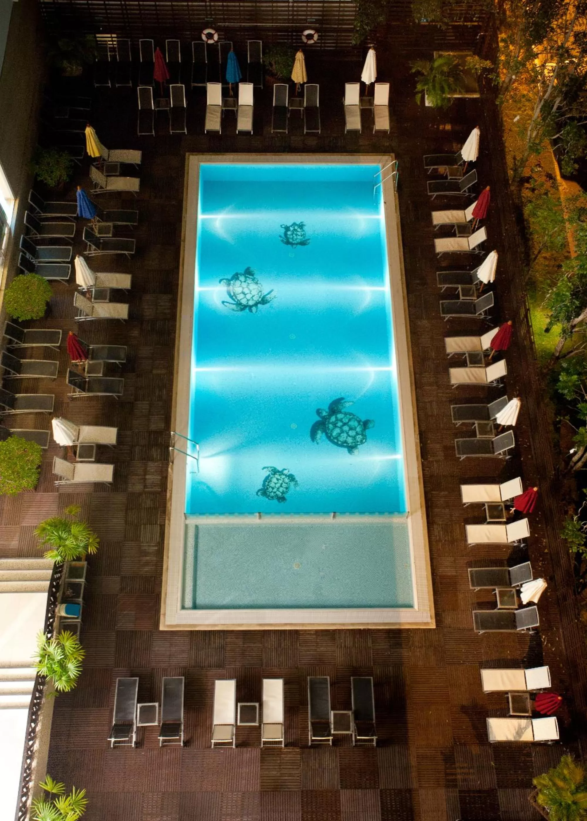 Swimming pool in Ibis Pattaya