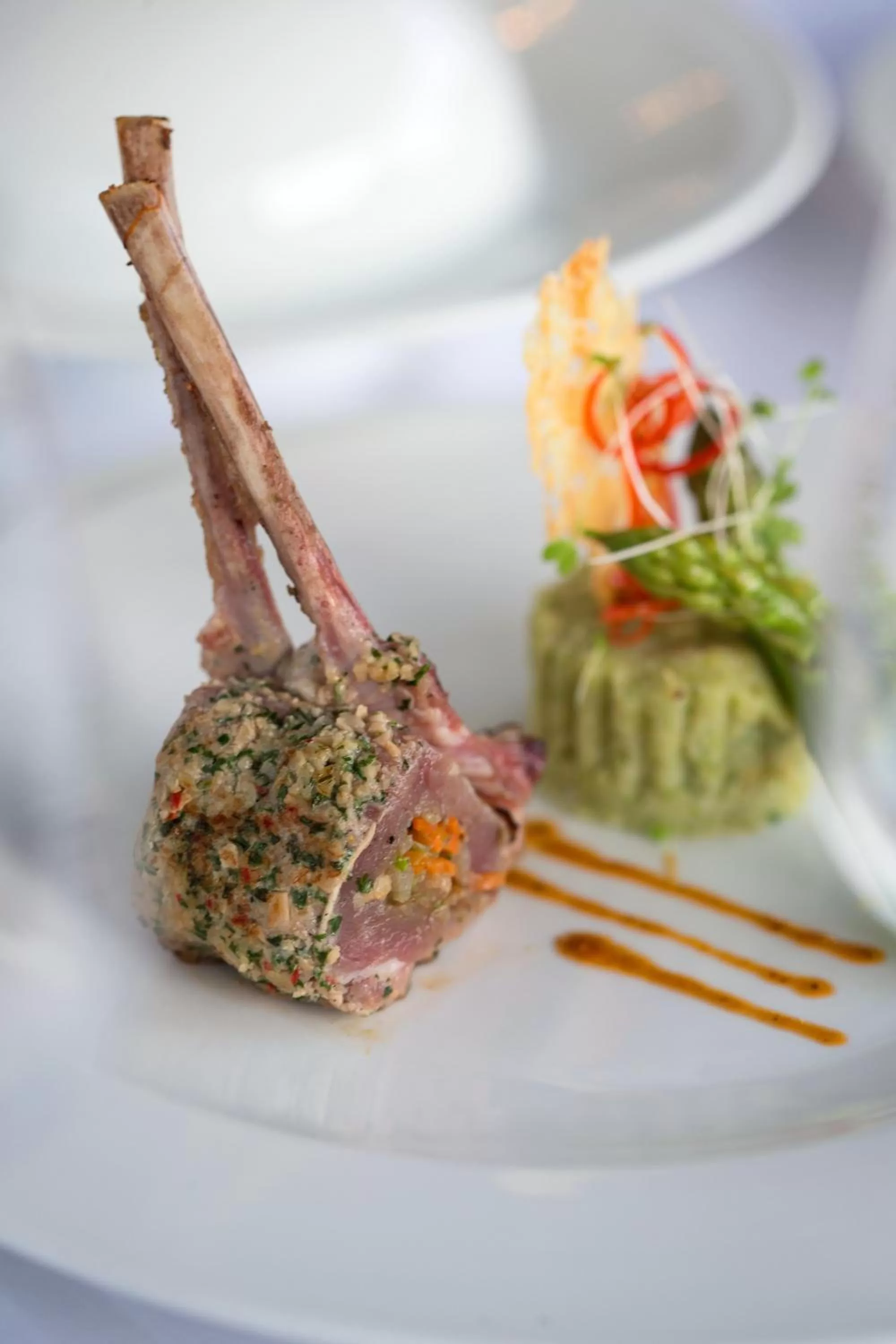 Food close-up in Dwaraka The Royal Villas