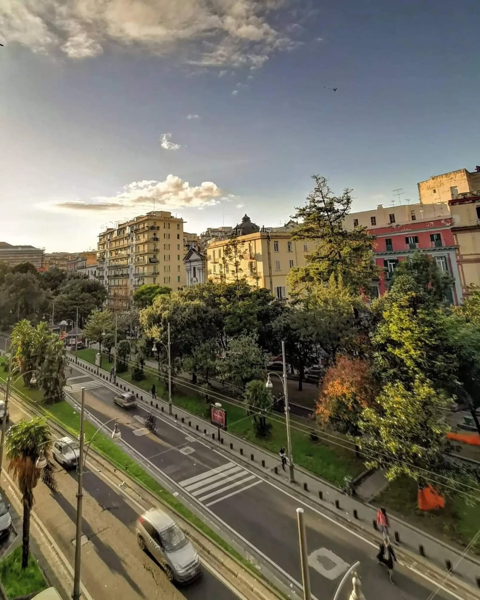 Neighbourhood in Museo19