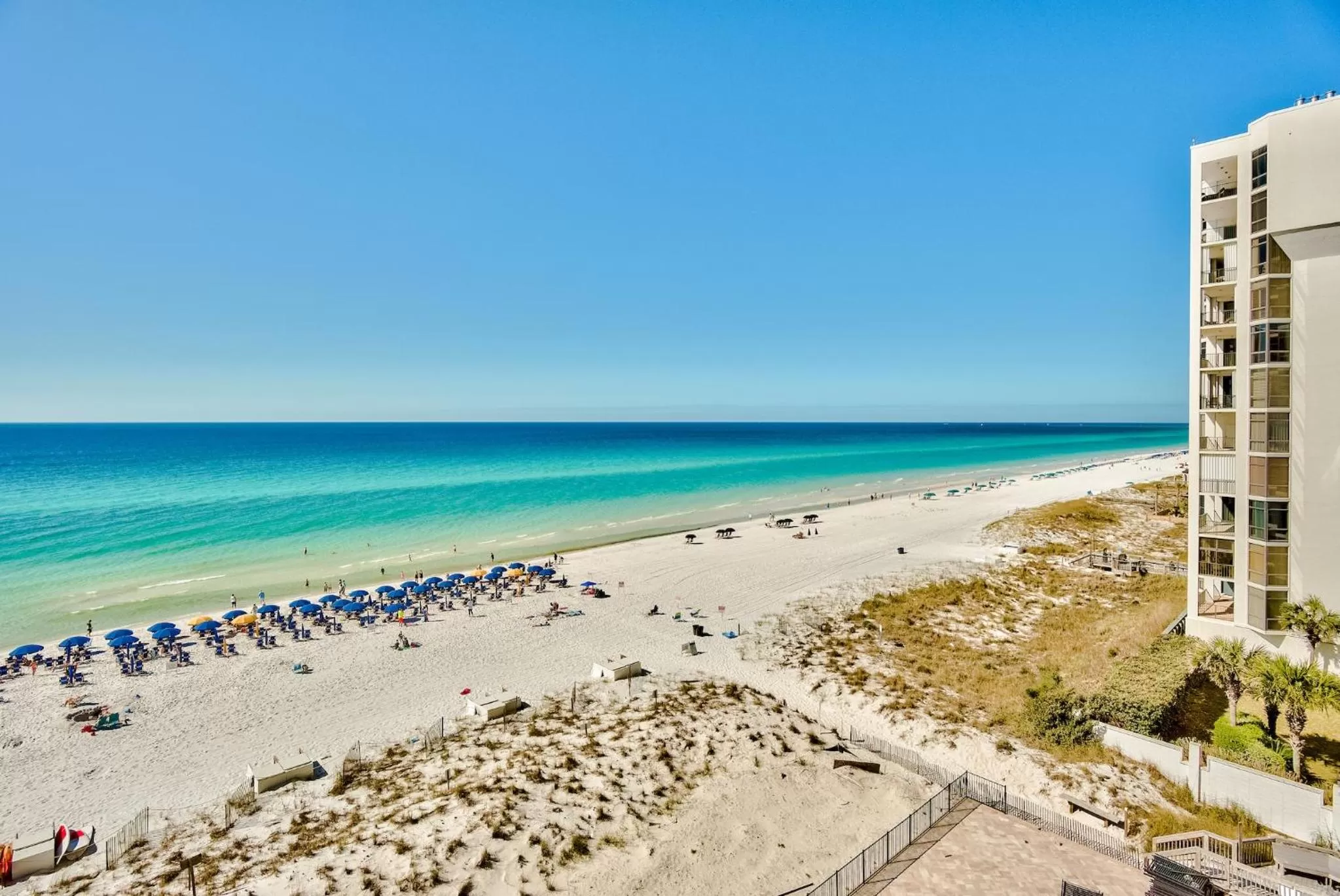 Beach in Pelican Beach Resort by Tufan