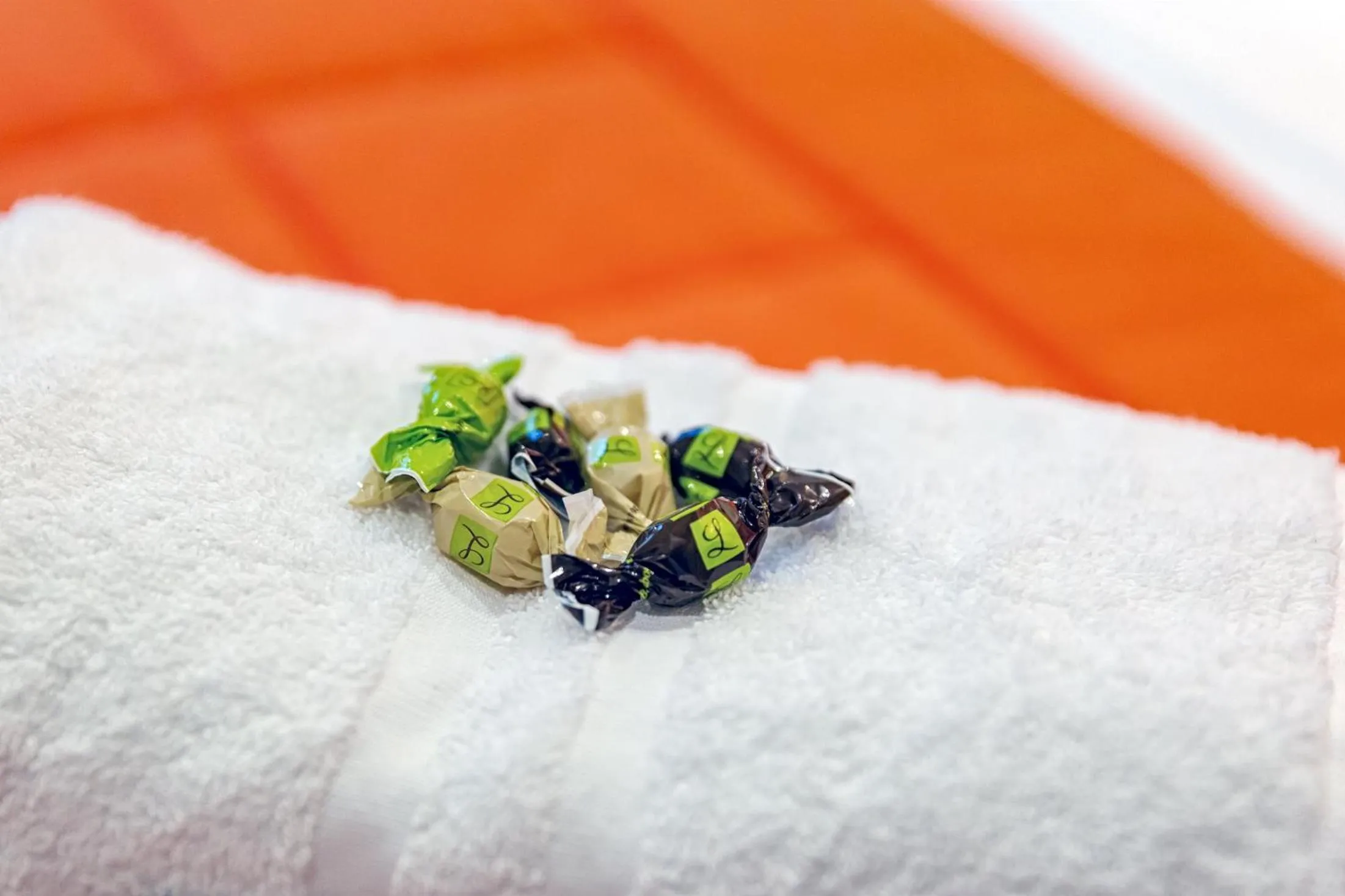 Decorative detail in La Commanderie de Champarey