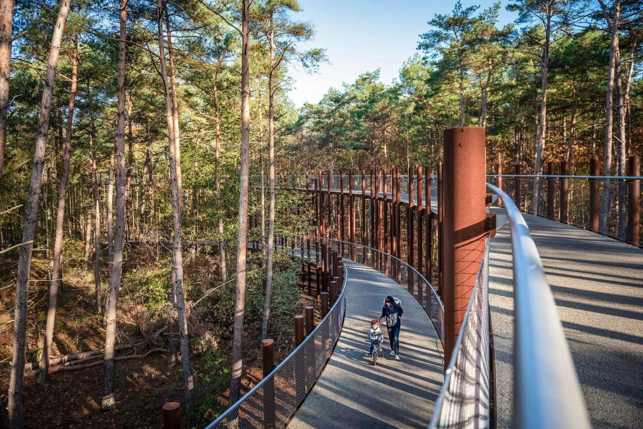 Nearby landmark in Holiday Inn Express Hasselt by IHG