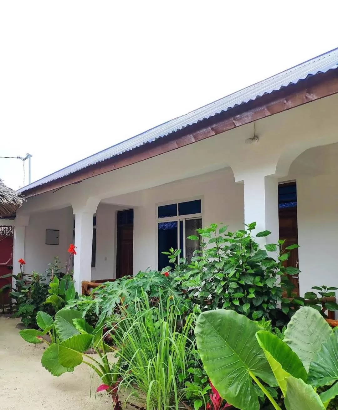 Garden, Property Building in MaNa Nungwi