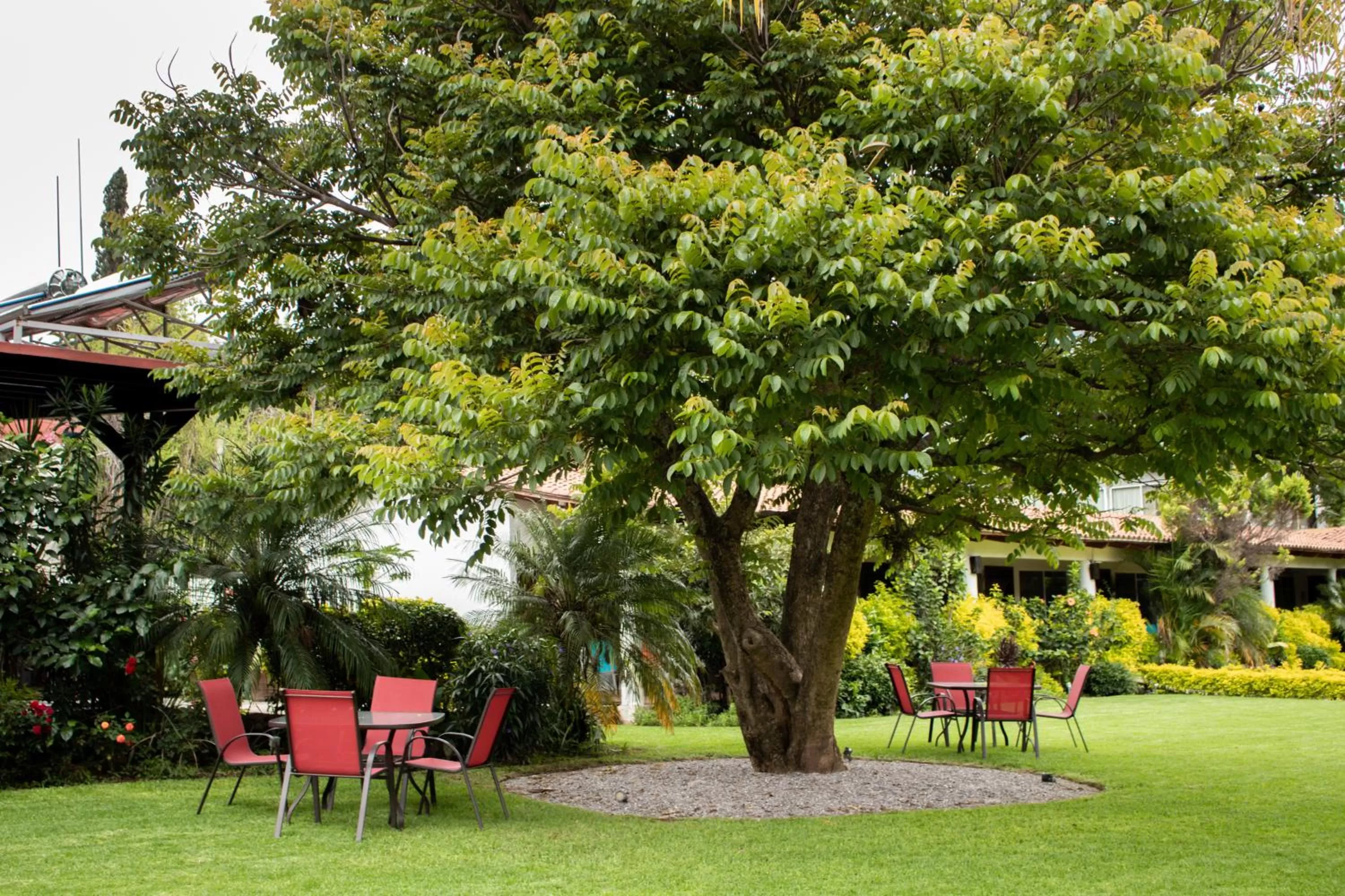 Garden view, Garden in Posada La Presa