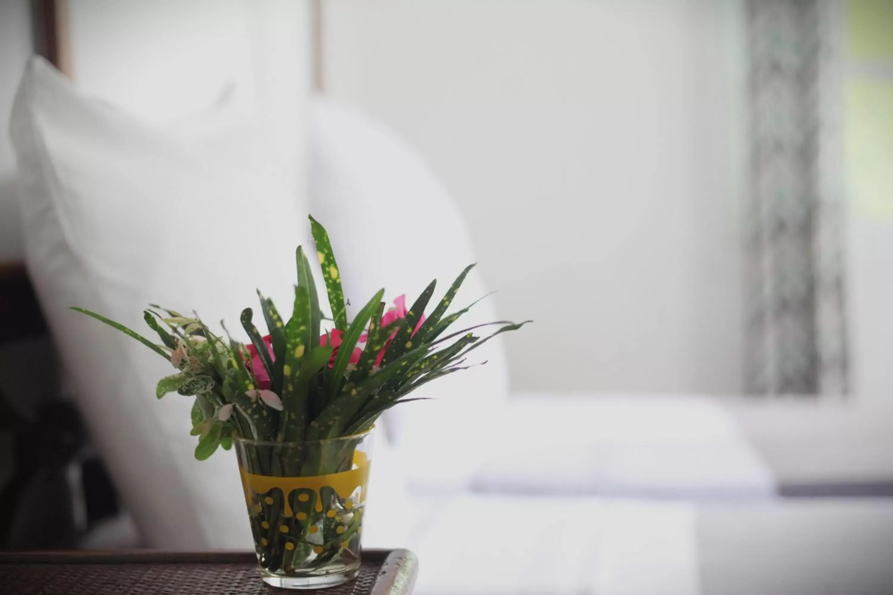 Double Room - single occupancy in Hotel Jardin de la Paix Double Room - single occupancy in Hotel Jardin de la Paix