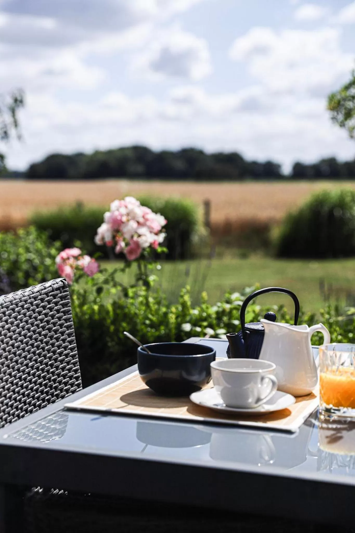 Breakfast in Domaine de Bellevue, The Originals Relais