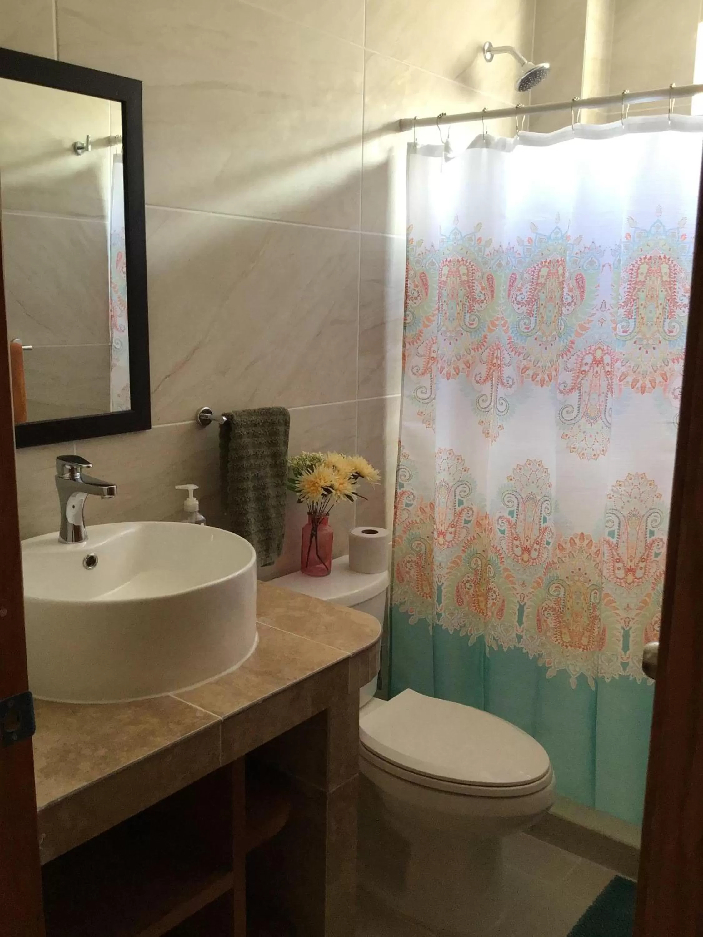 Other, Bathroom in Bed and Breakfast Pecarí