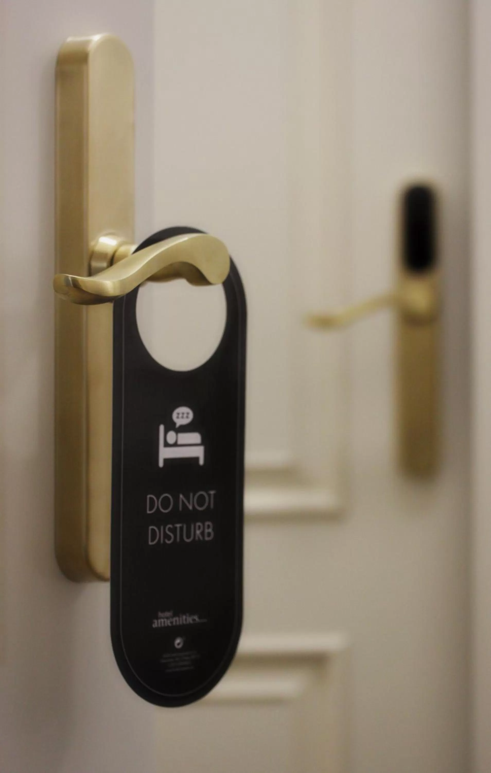 Other in Alveo Suites