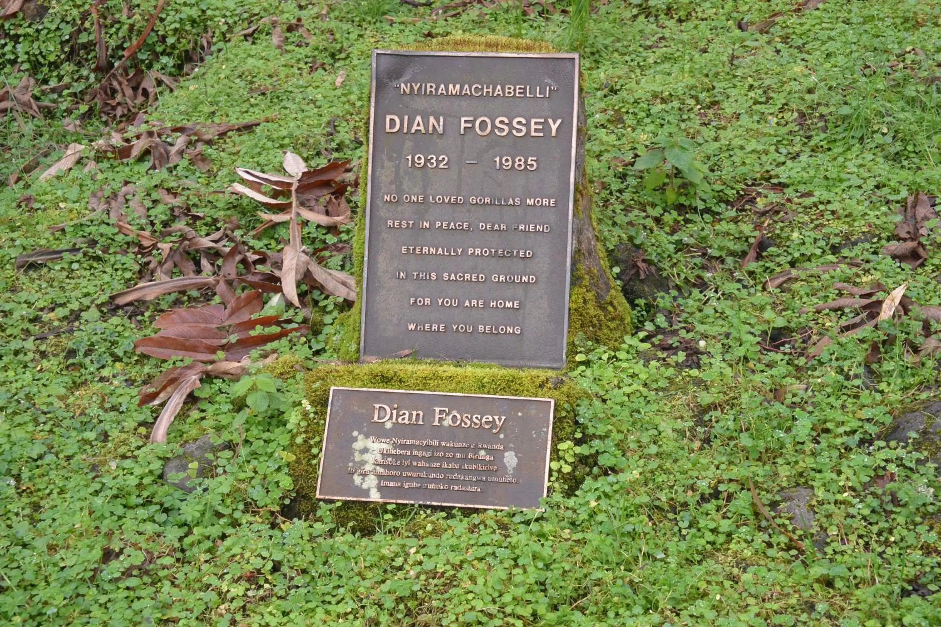 Text overlay in Isange Paradise Resort