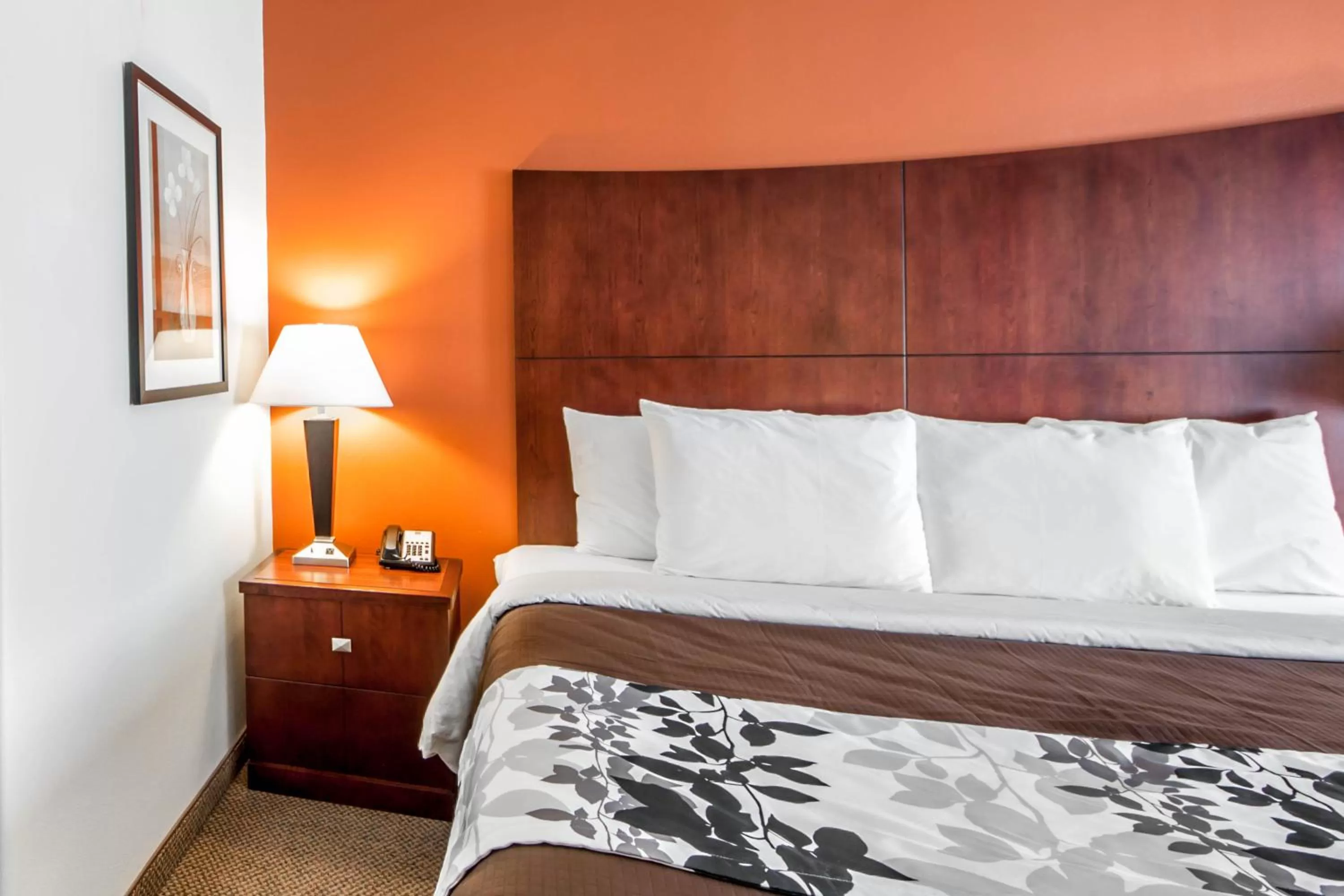 King Room - Non-Smoking in Sleep Inn & Suites Lawton Near Fort Sill