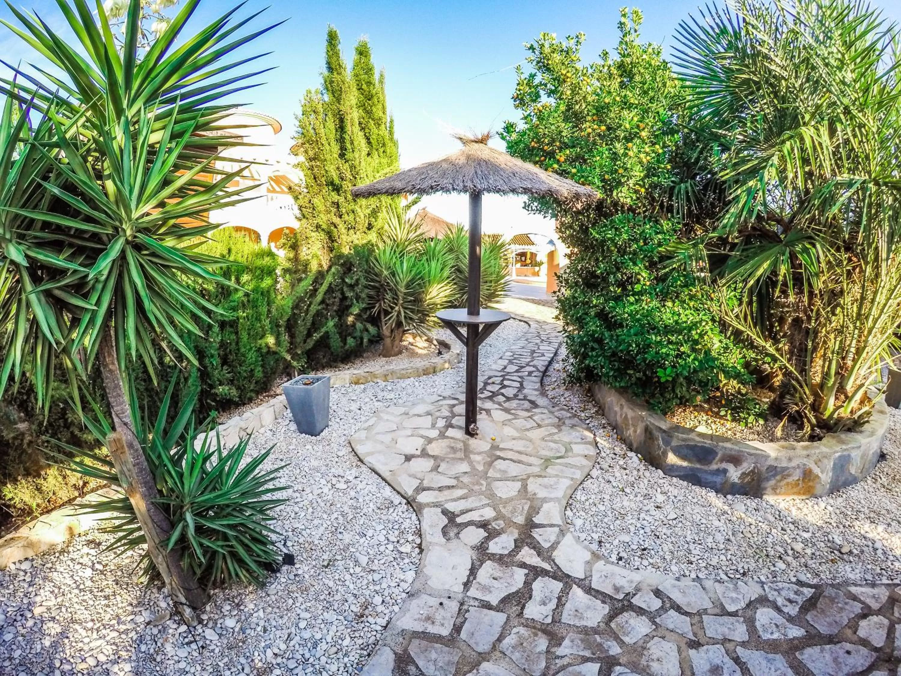 Garden in Pensión Los Caballos