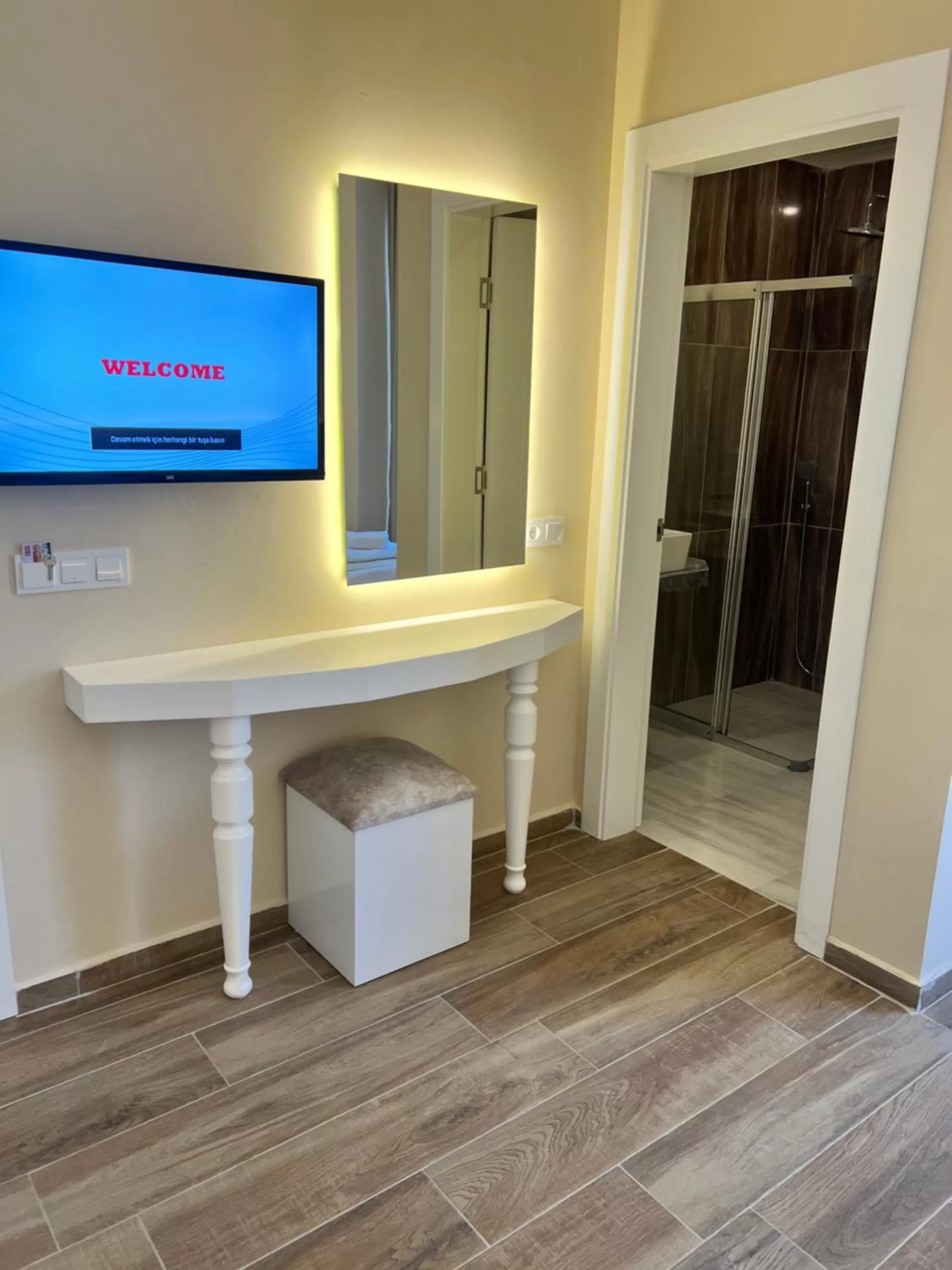 TV and multimedia, TV/Entertainment Center in Ozcan Hotel