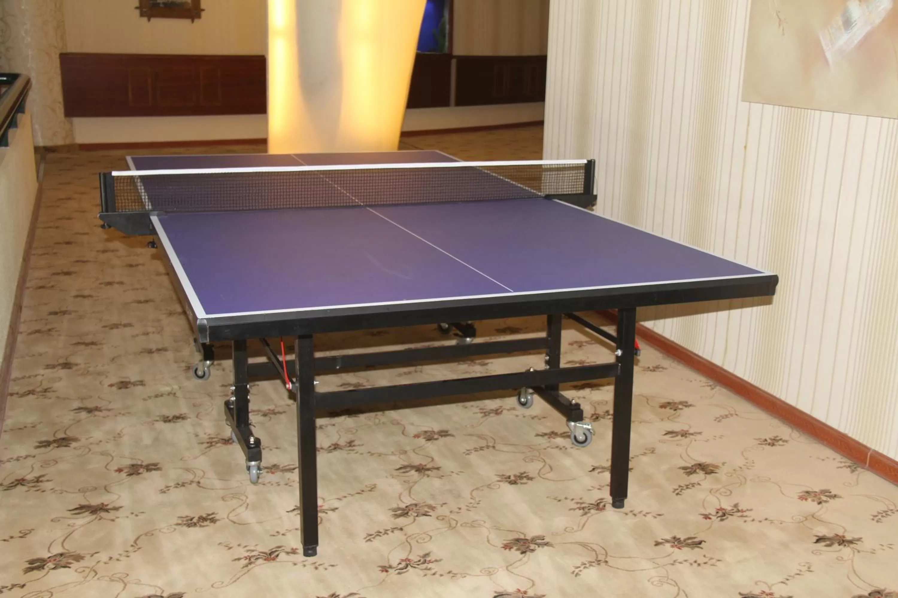 Table Tennis in Saleem Afandi Hotel