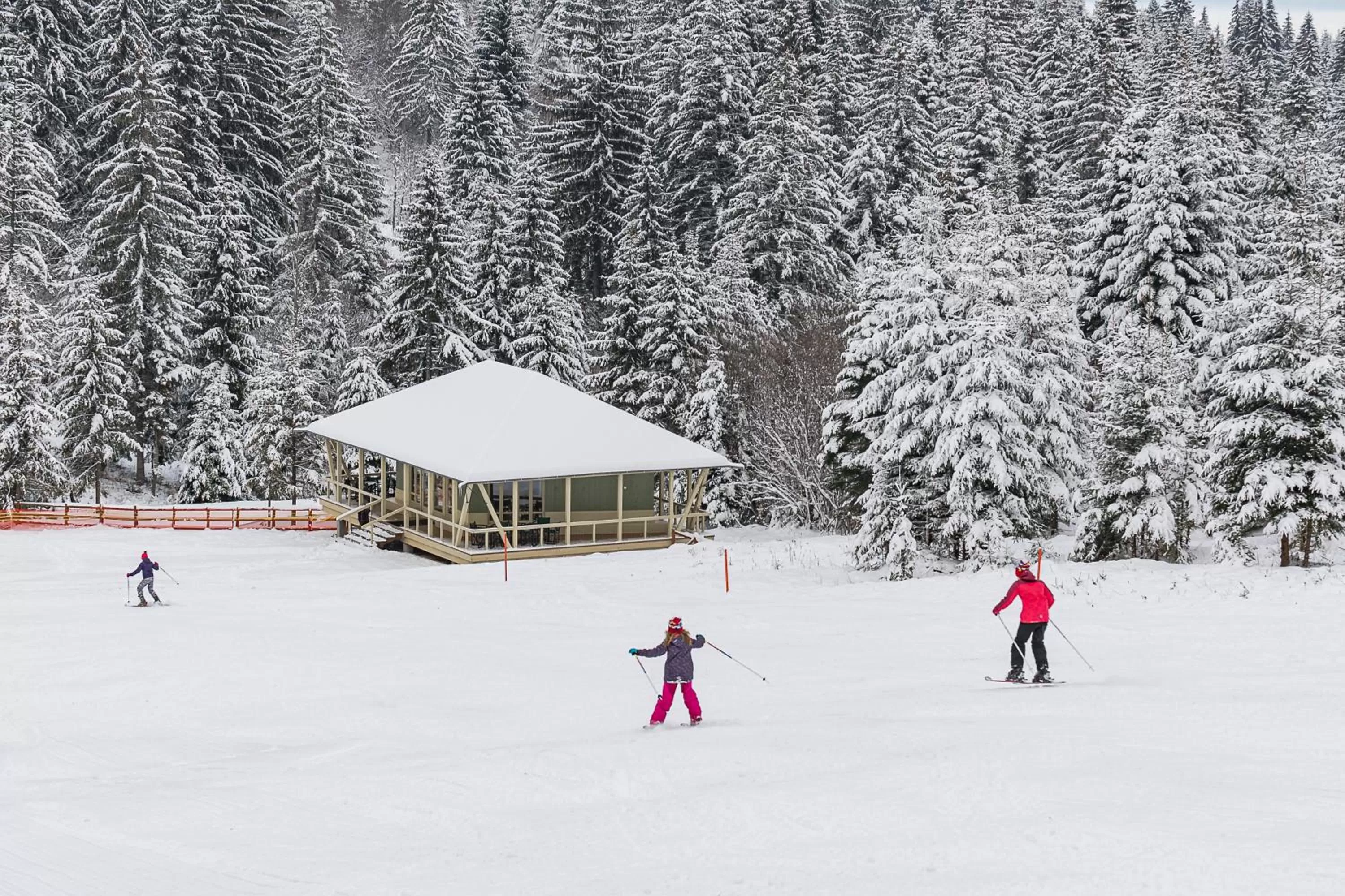 Skiing in Mountain-Rest Pension