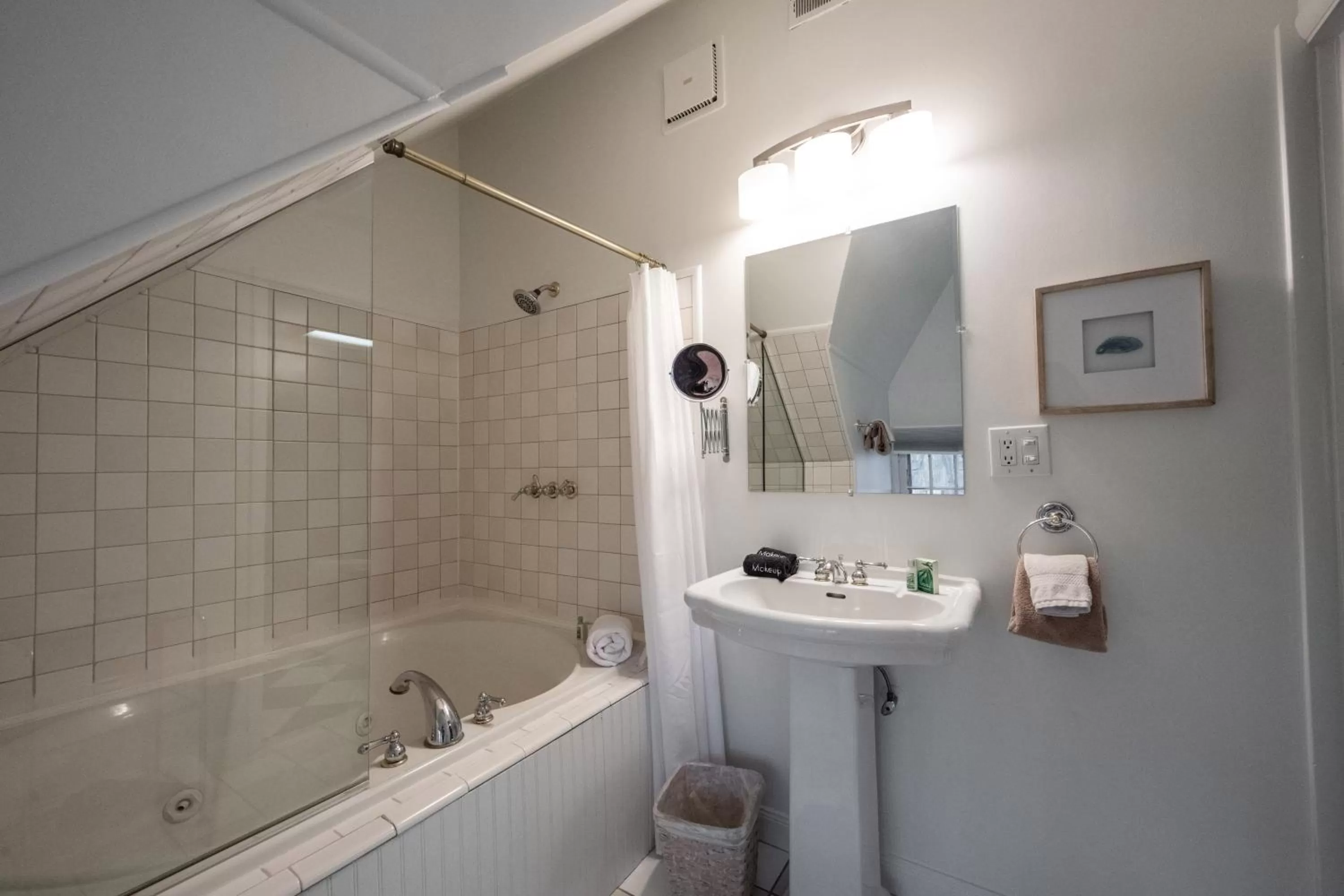 Bathroom in Stone Soup Inn