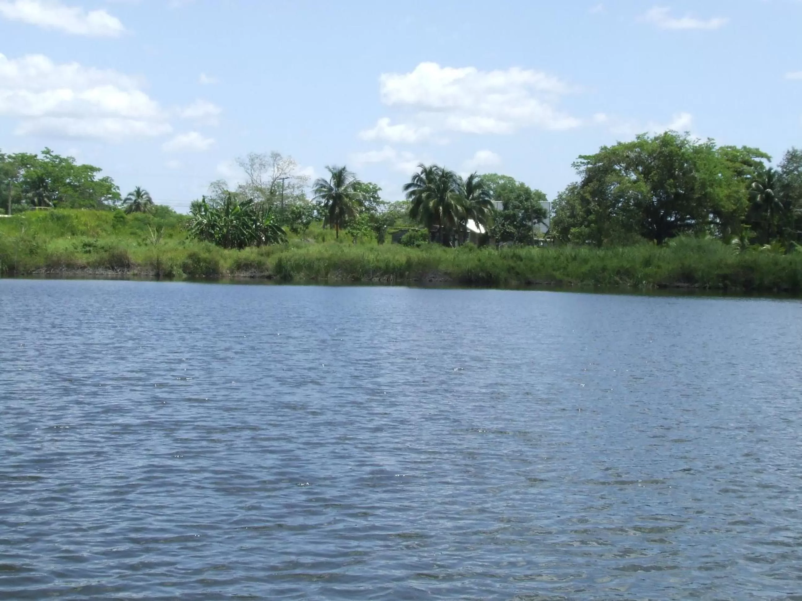 Day in Lamanai Hotel & Marina