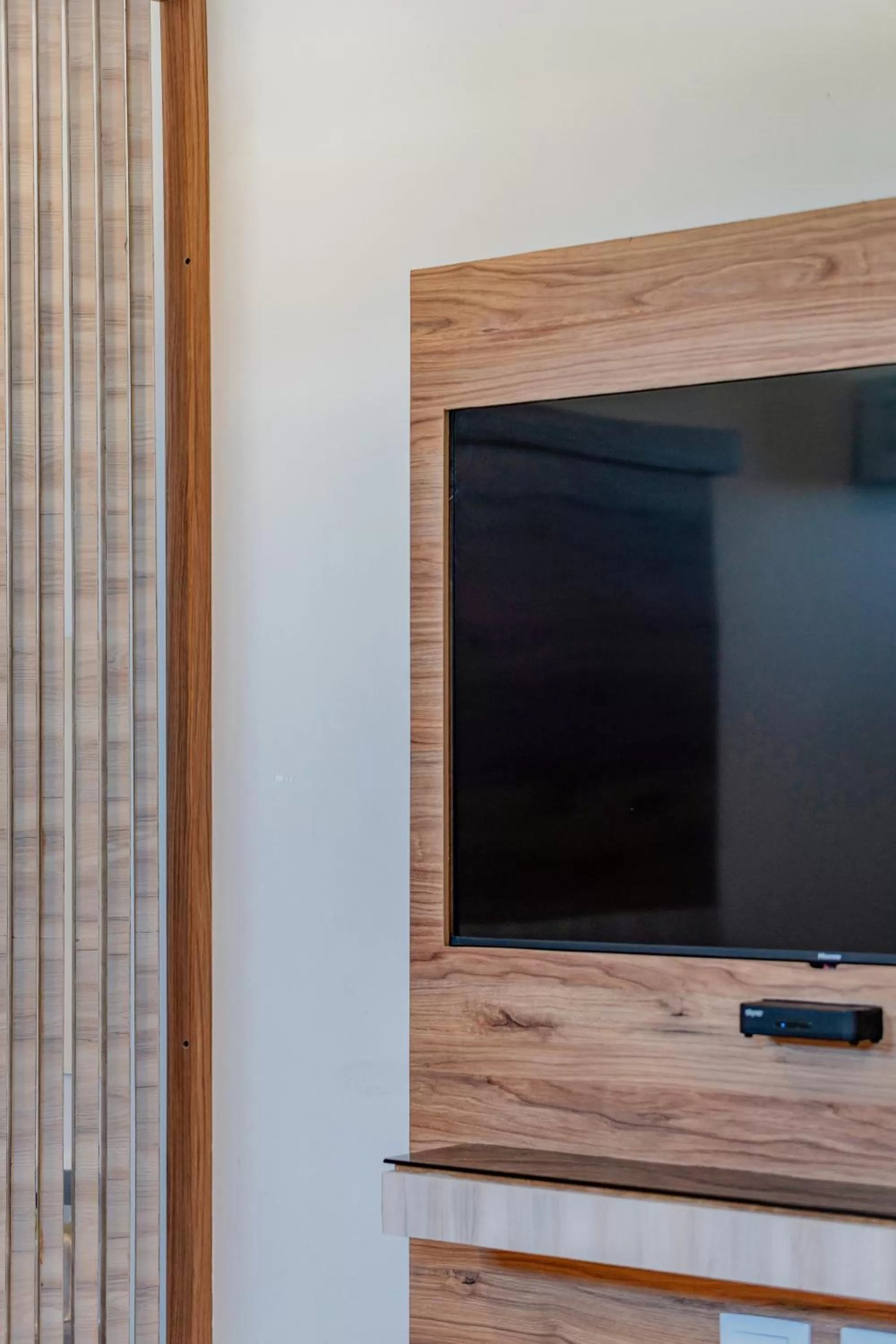 TV and multimedia in Hotel Central Merida by Kavia