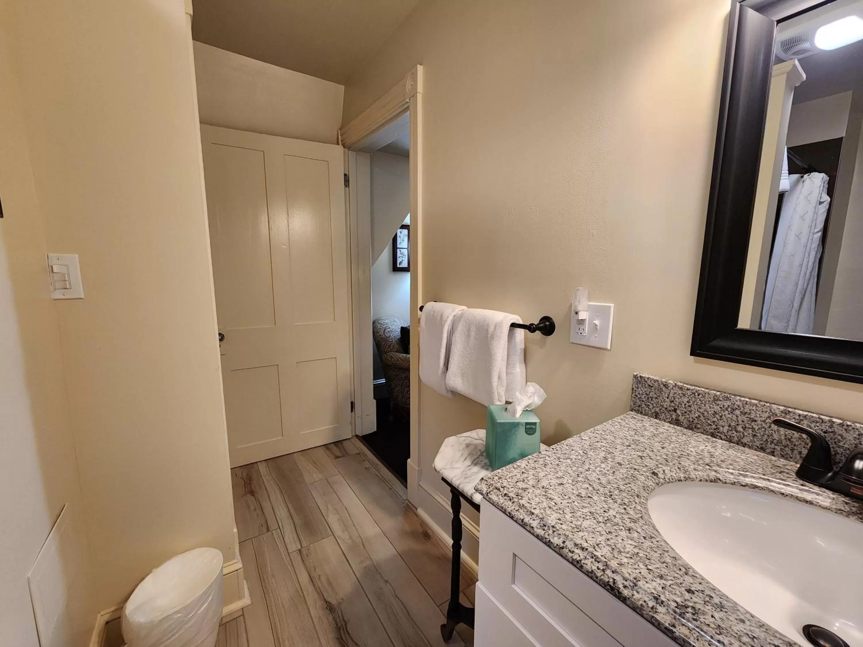 Bathroom in The Sayre Mansion