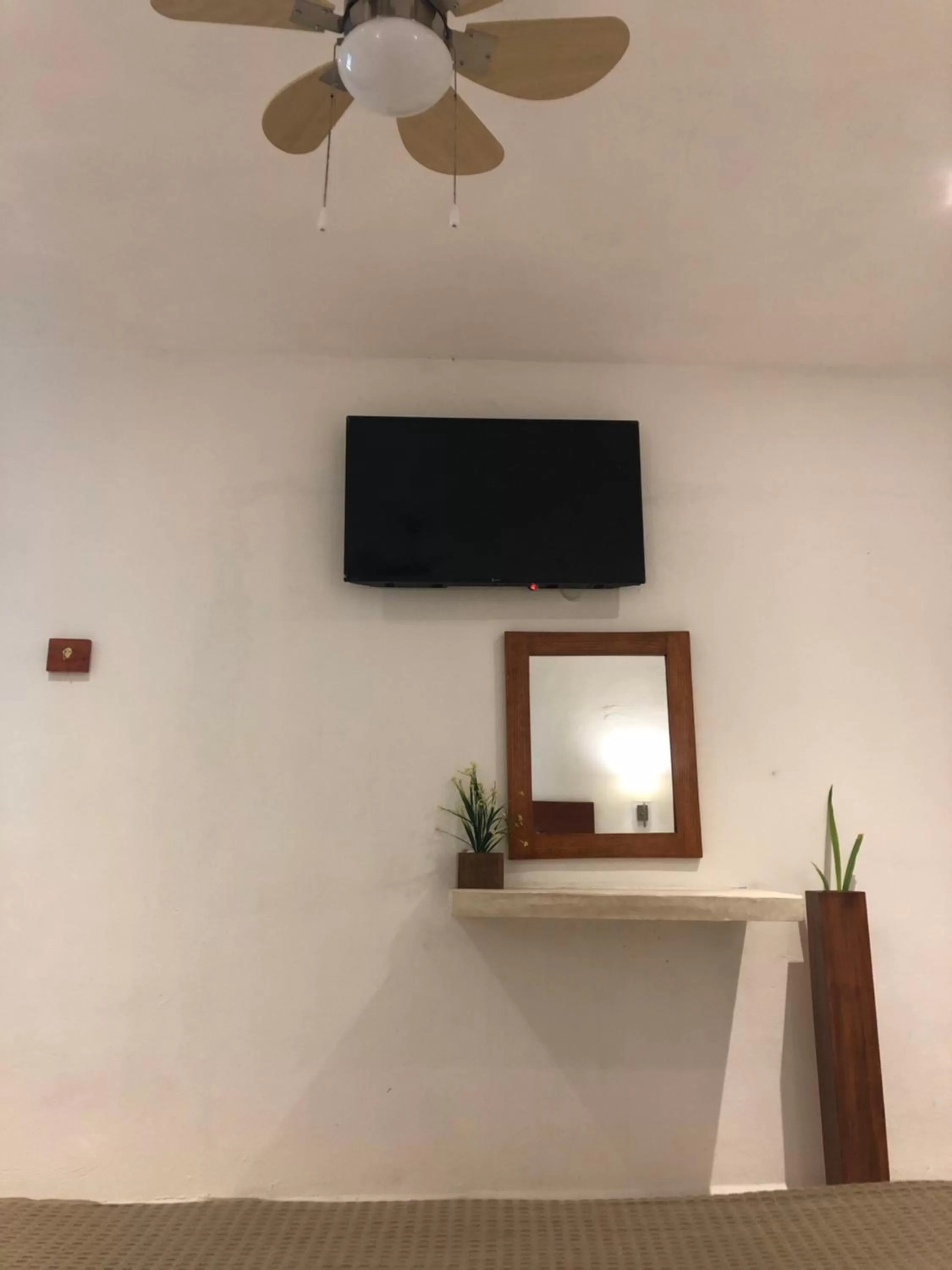 TV/Entertainment Center in Hotel Casa Bamboo