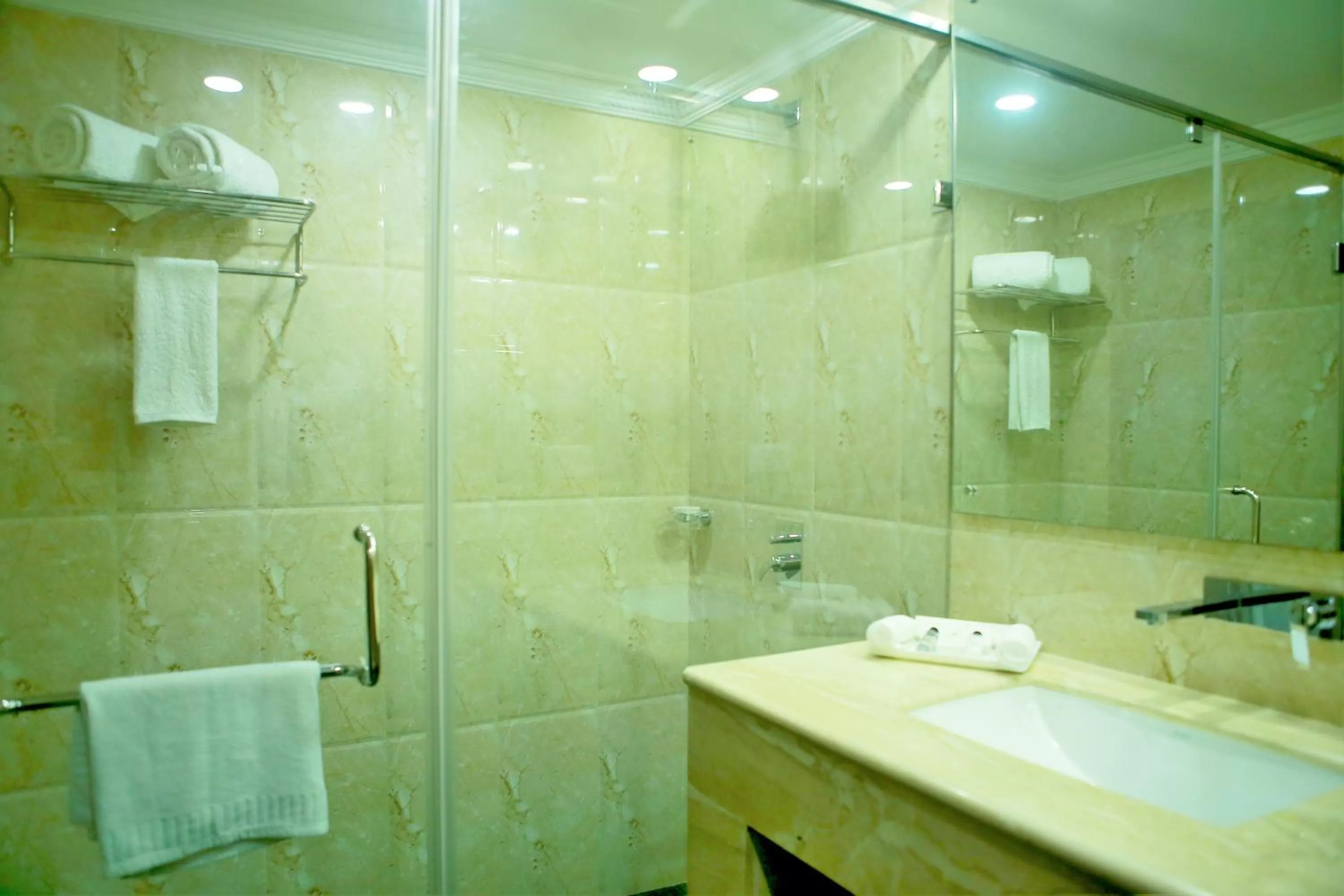 Shower in Seashore Residency