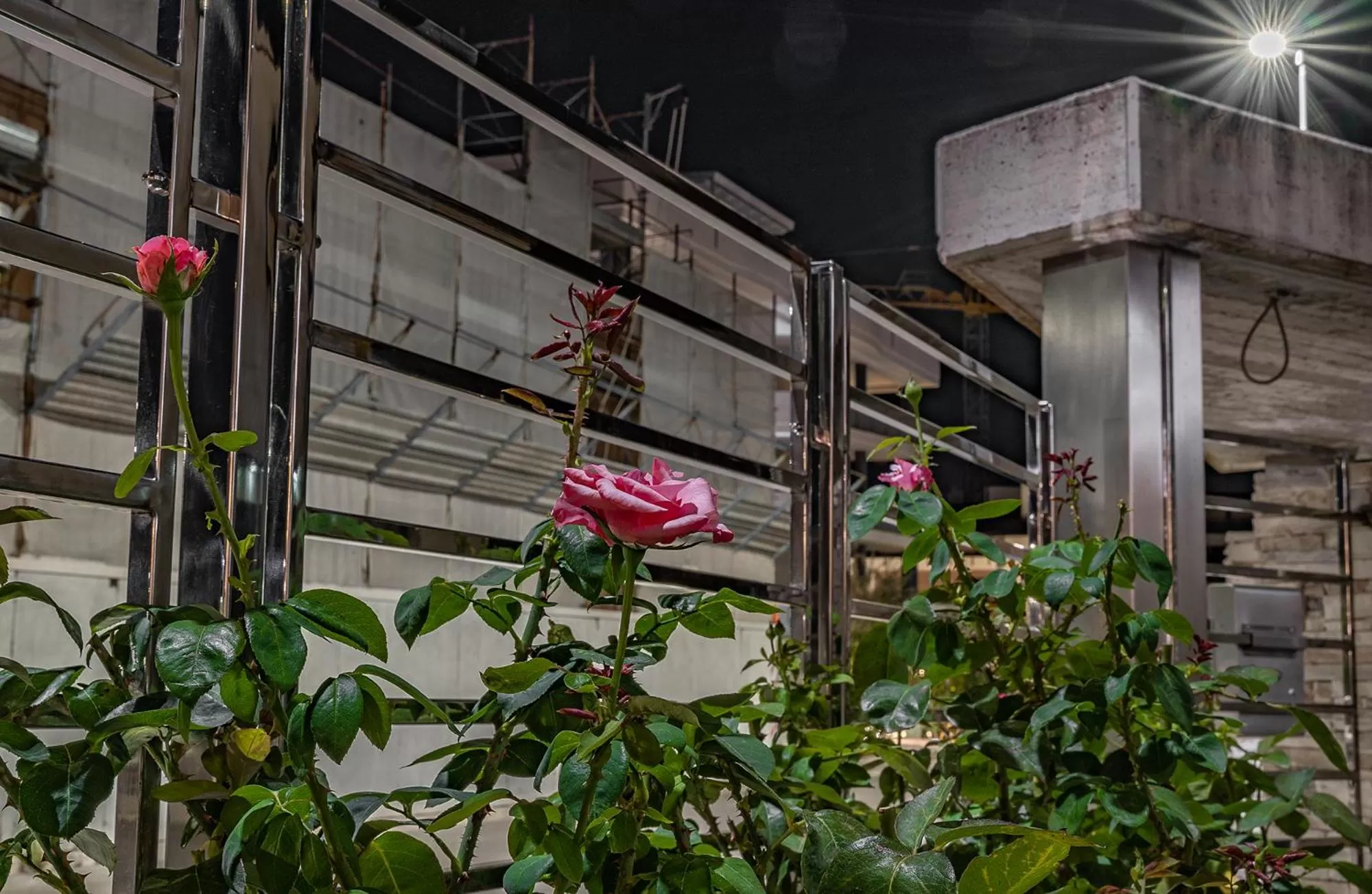 Property building in B&B La Rosa dei Venti