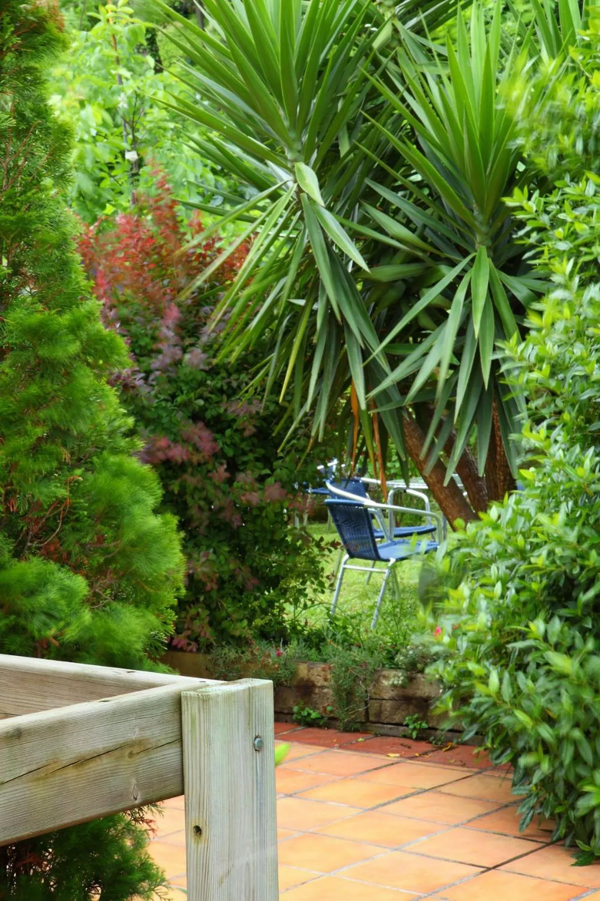 Garden in Hotel Metrokua