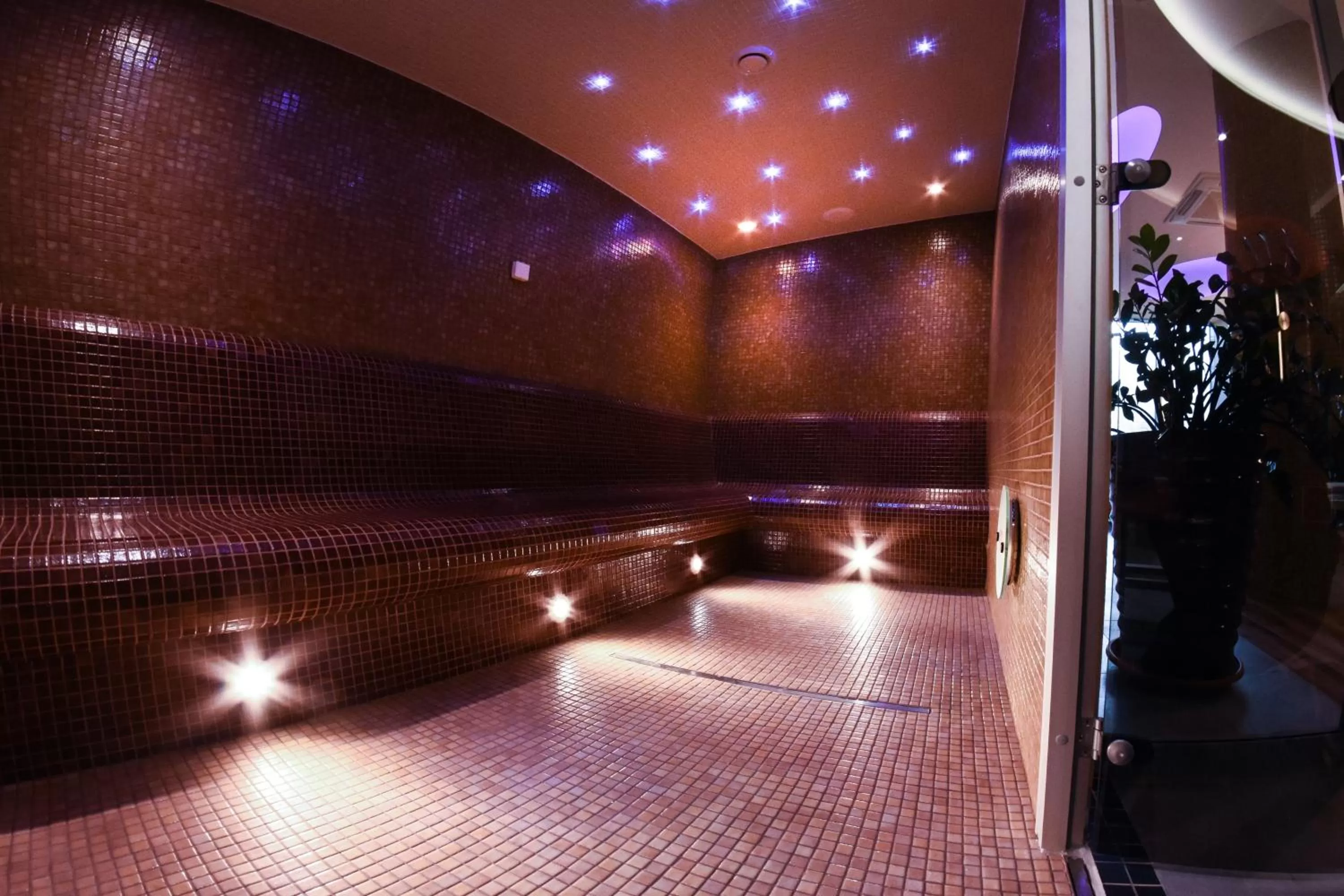 Activities in Ruben Hotel Zielona Góra