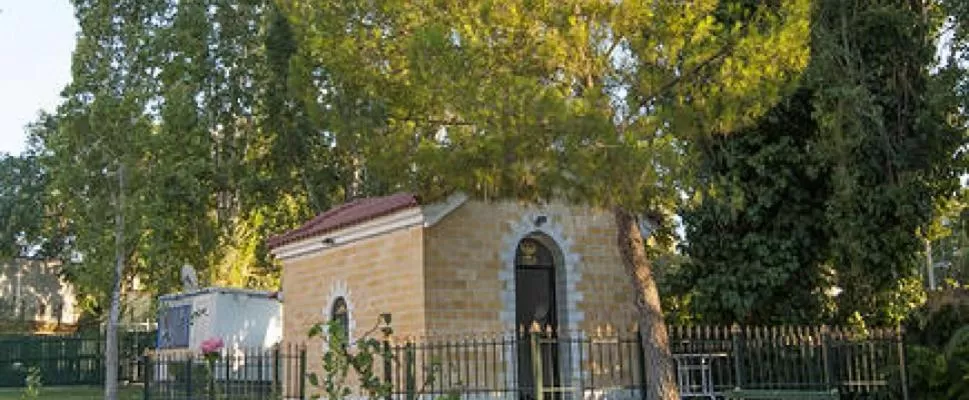 Garden in Hotel Anesi